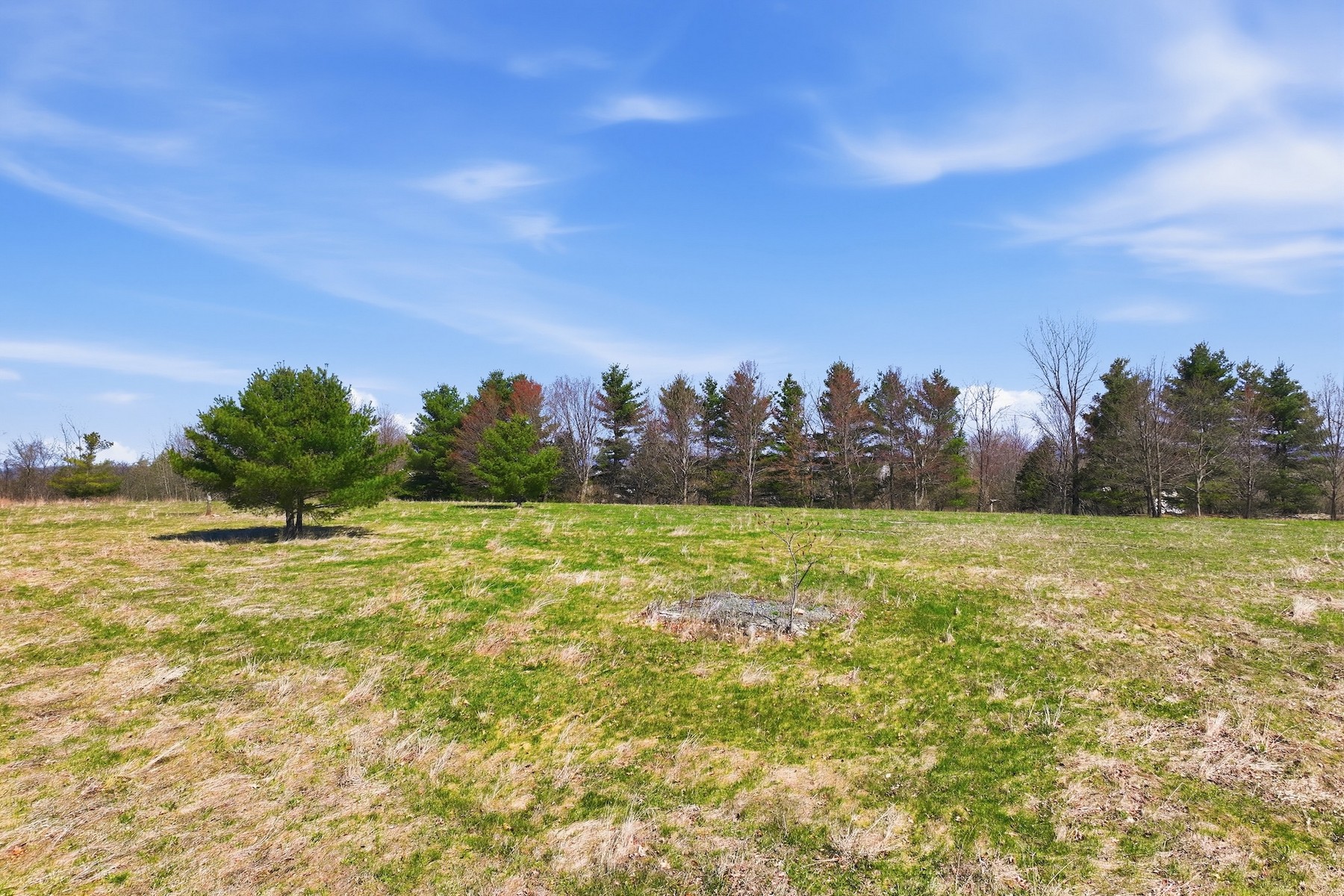  351 Ledgewood Drive - 物件實景