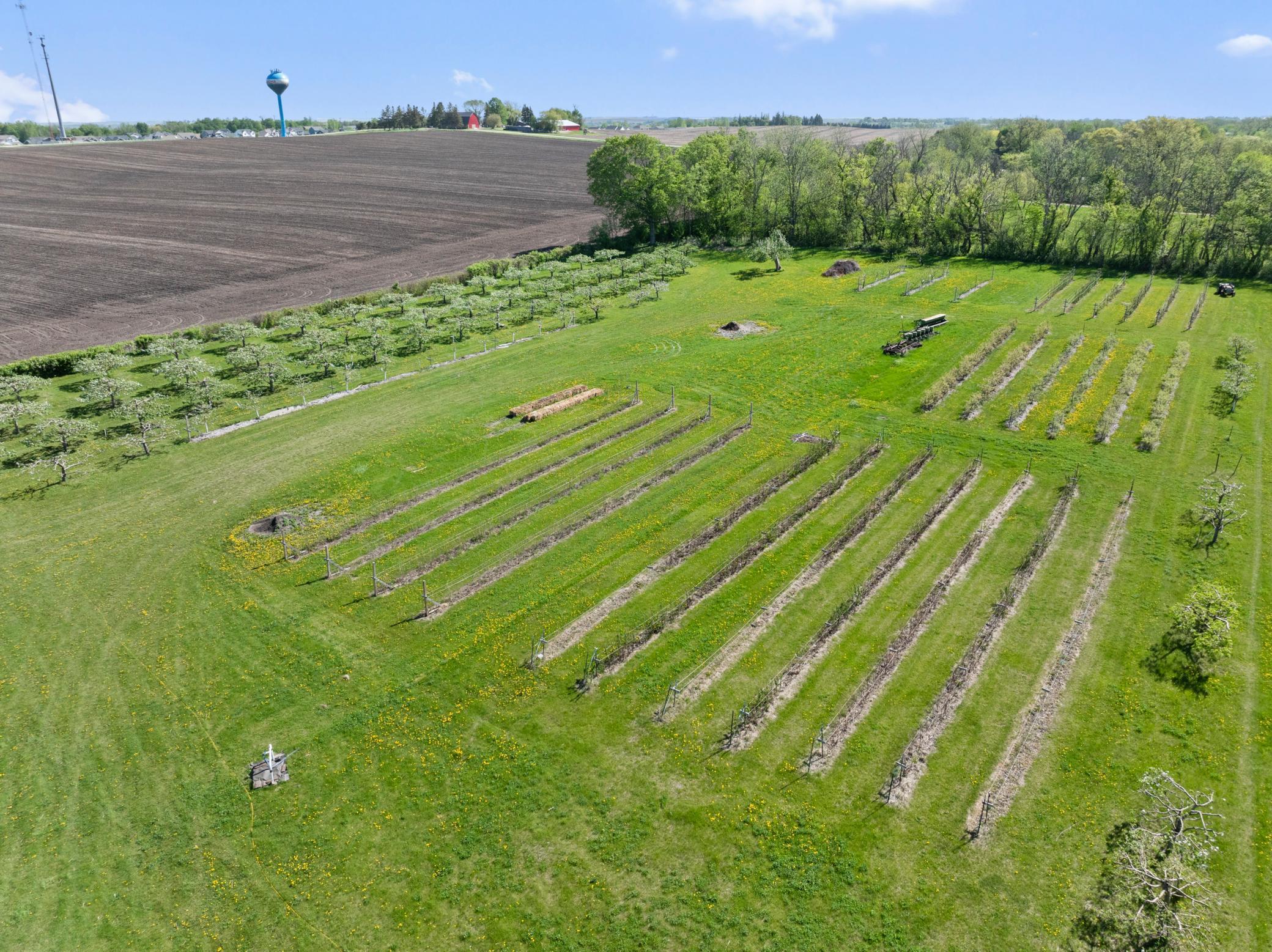 Bridgewater Twp, Minnesota, 55057, United States, ,Residential,For Sale,1851900