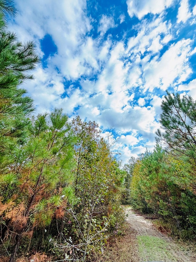 Abbeville, Georgia, 31001, United States, ,Land,For Sale,1975130