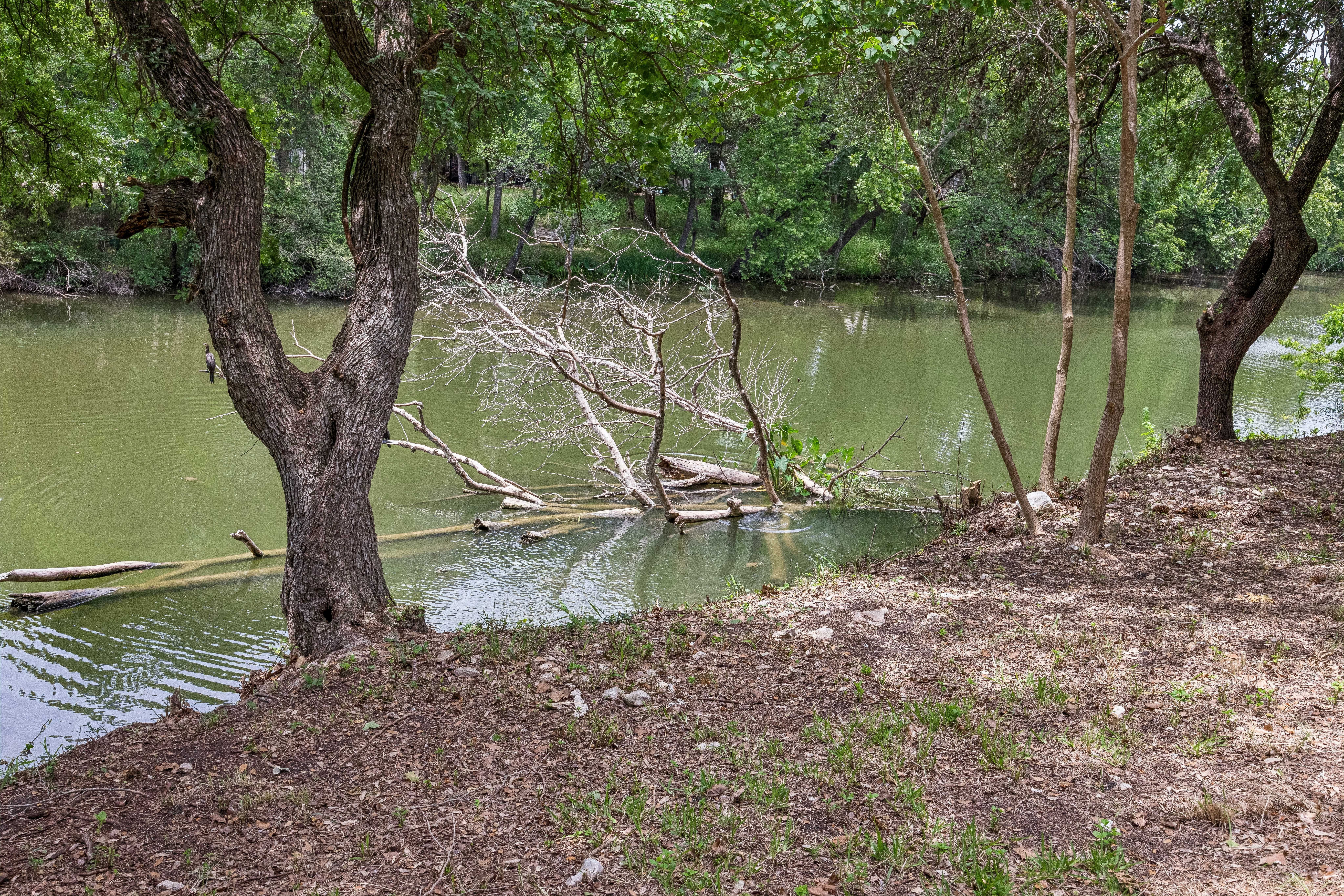  Your Private Retreat on Brushy Creek - 物件實景