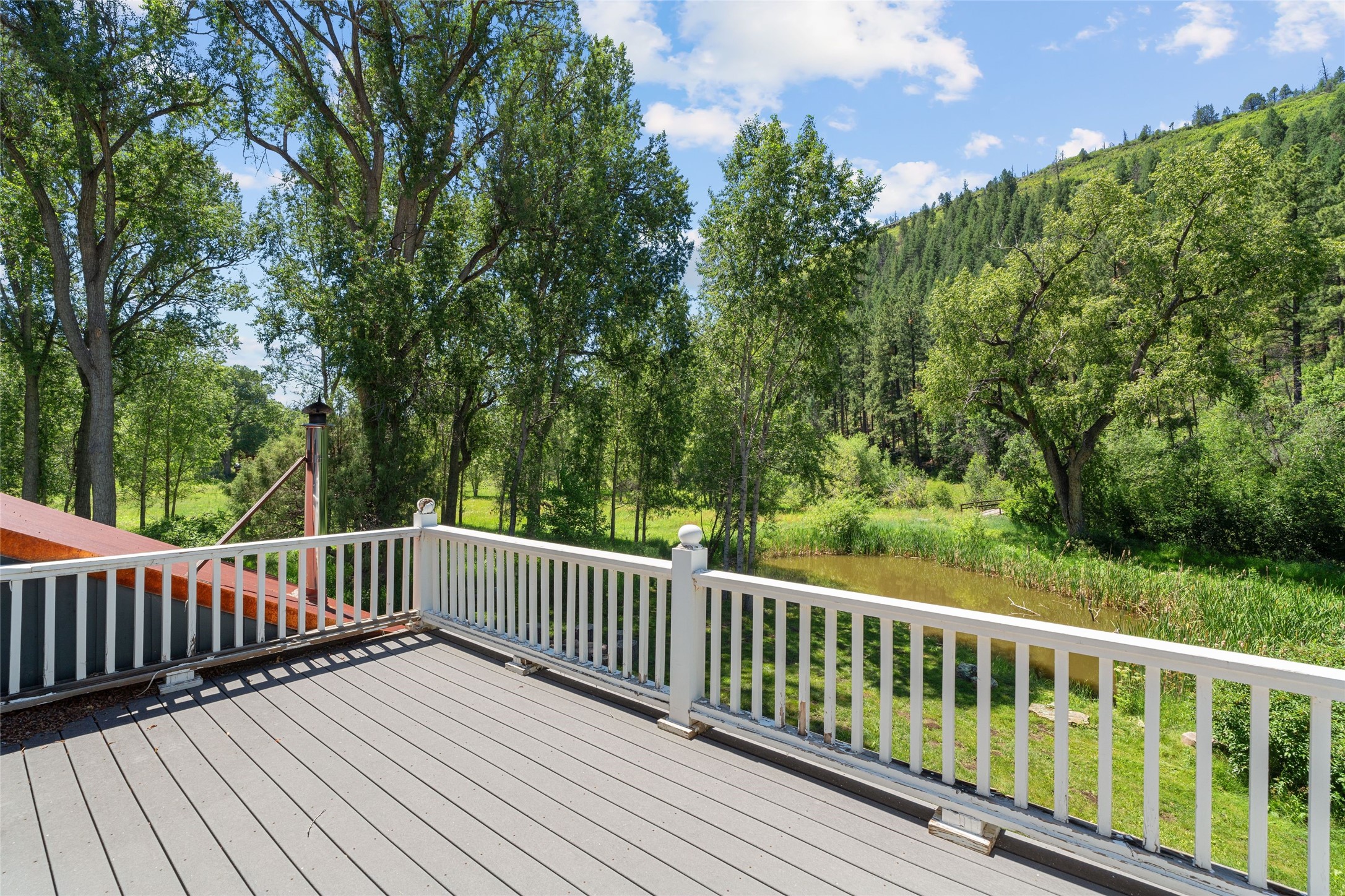  997 New Mexico Highway 65 - Rio de Vega Ranch - 物件實景