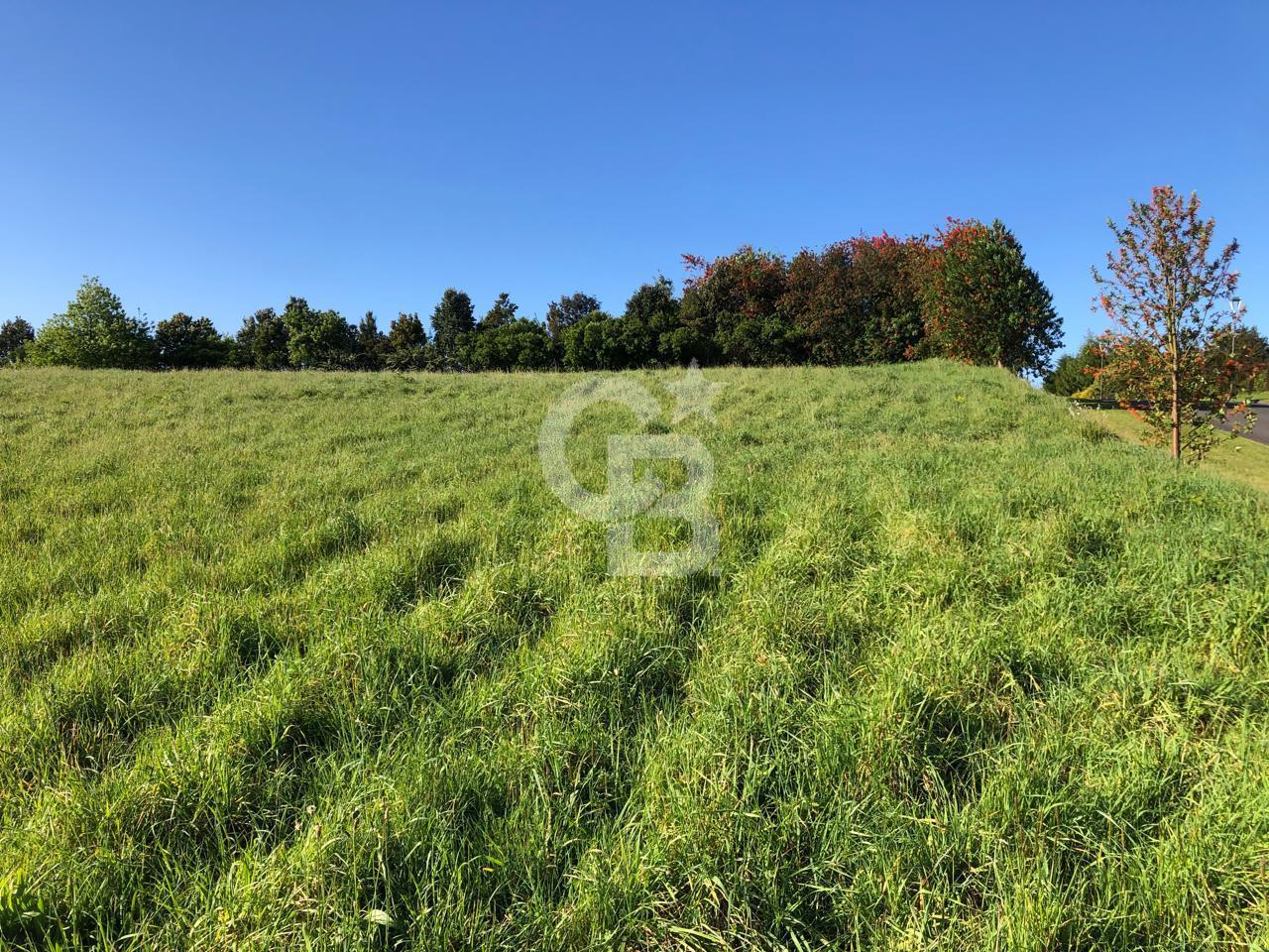 Puerto Varas, Chile, ,Residential,For Sale,1986545