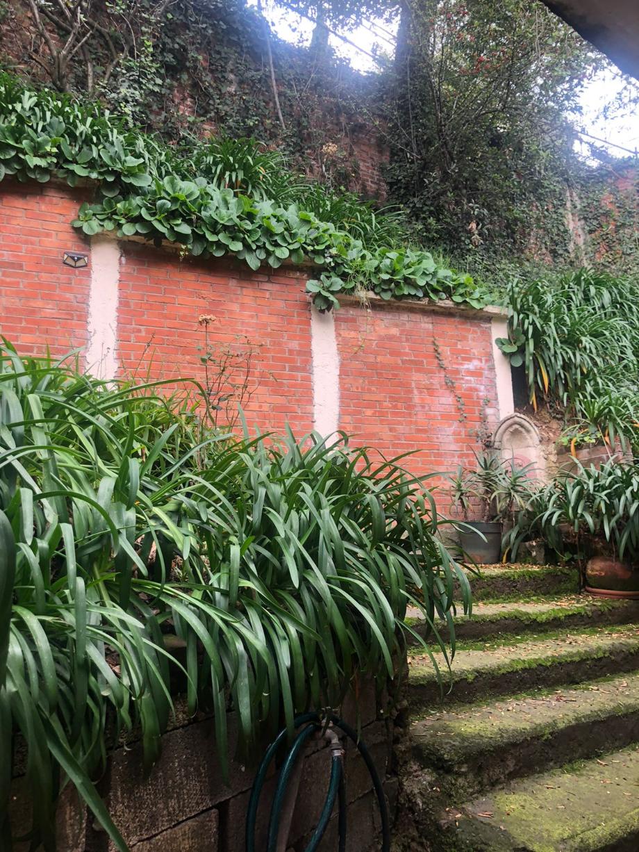 Privada de Cedros, Álvaro Obregón, Ciudad de México, 01790, Mexico, 4 Bedrooms Bedrooms, ,3 BathroomsBathrooms,Residential,For Sale,Privada de Cedros,1443690