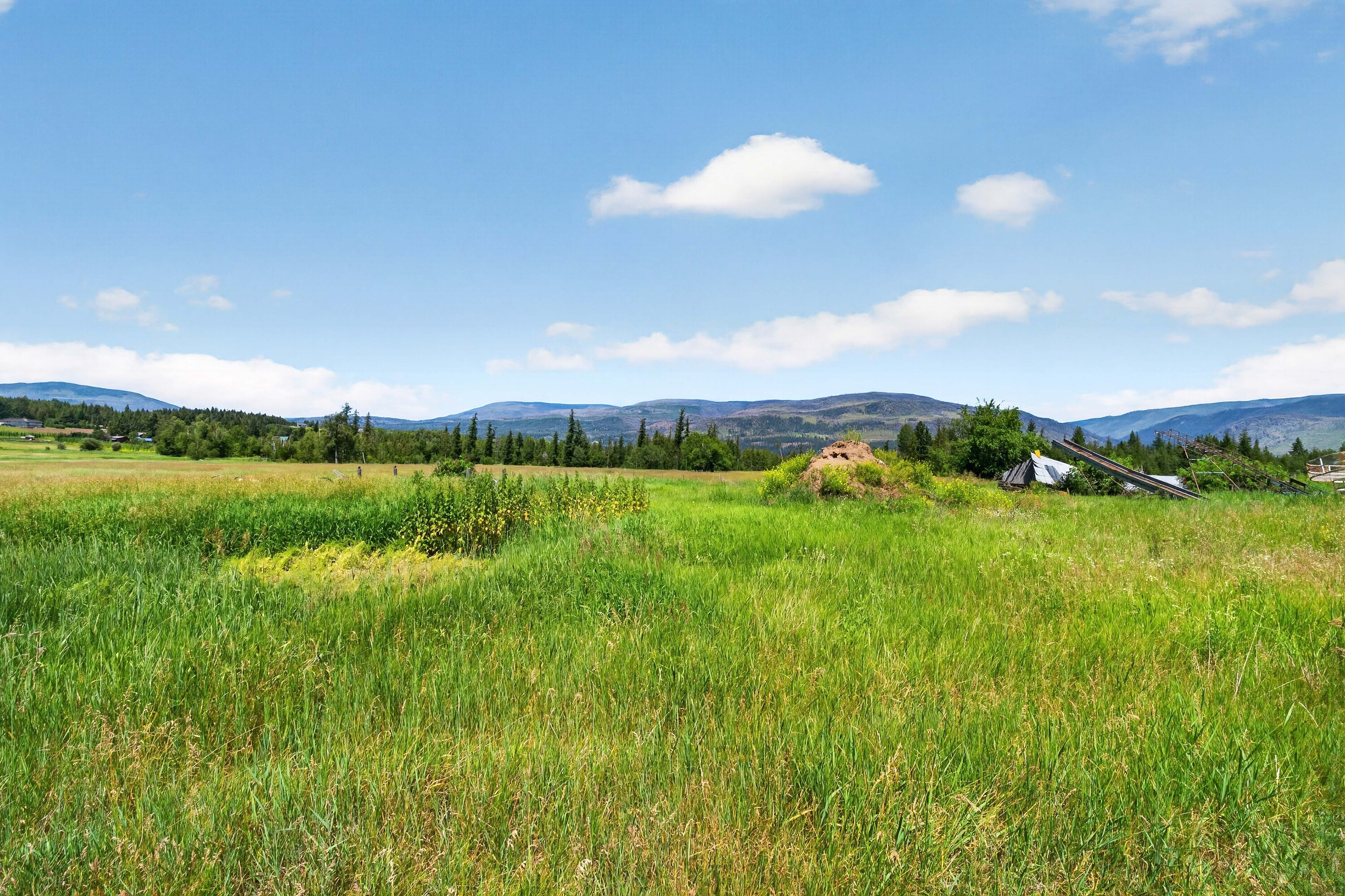  158 Acre Lakeview Homestead - 物件實景