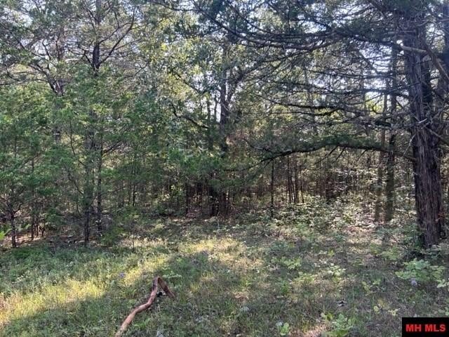 001-05276-003 INVERNESS DRIVE, Mountain Home, Arkansas, 72653, United States, ,Residential,For Sale,001-05276-003 INVERNESS DRIVE,1333567