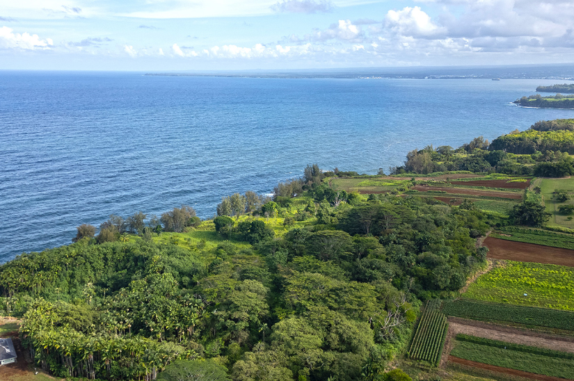 Pepeekeo, Hawaii, 96783, United States, ,Land,For Sale,1978999