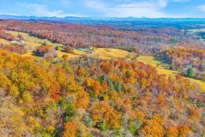 Fincastle, Virginia, 24090, United States, ,Residential,For Sale,1989448