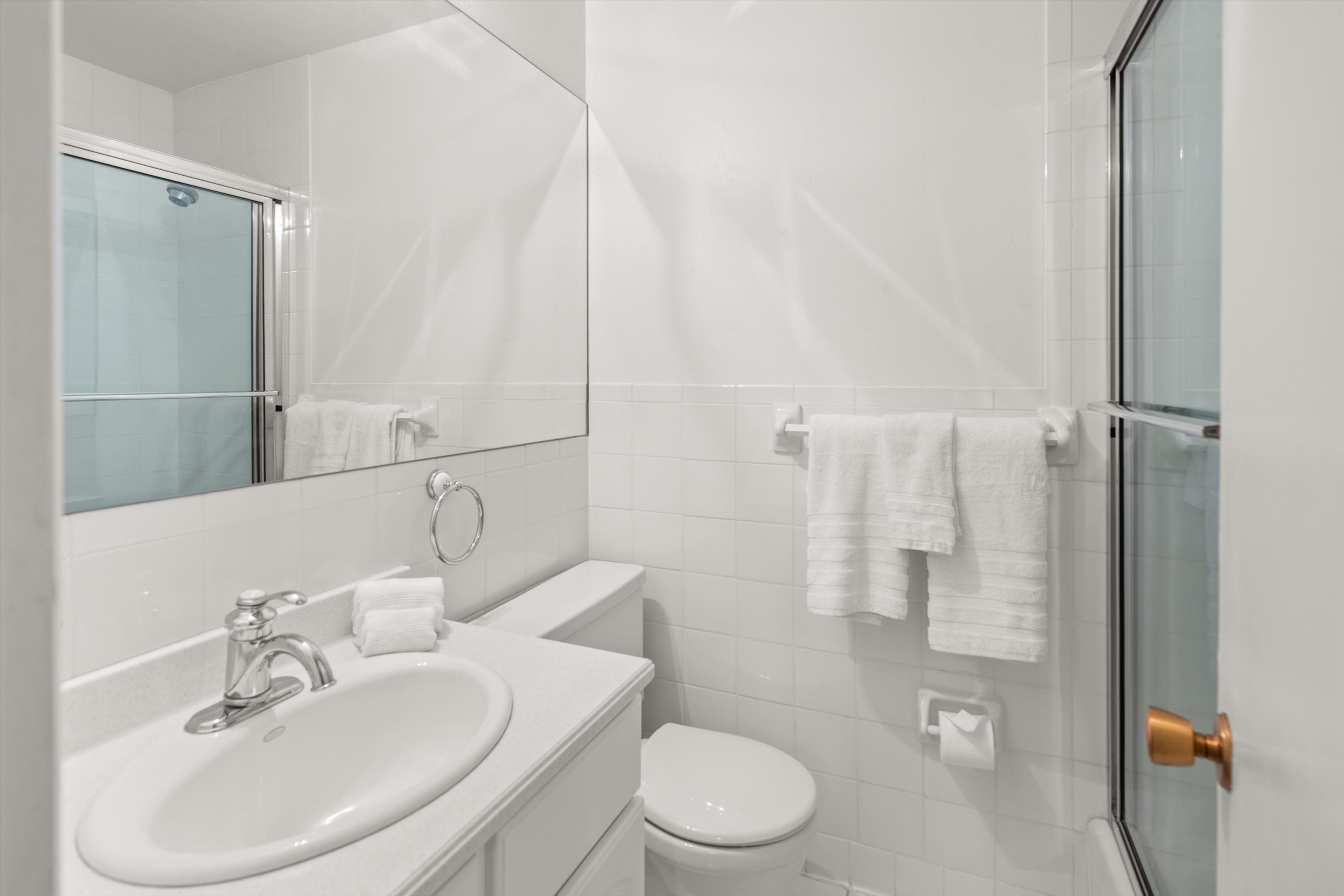  875 Bonita Drive, Aspen, CO 81611 - 物件實景