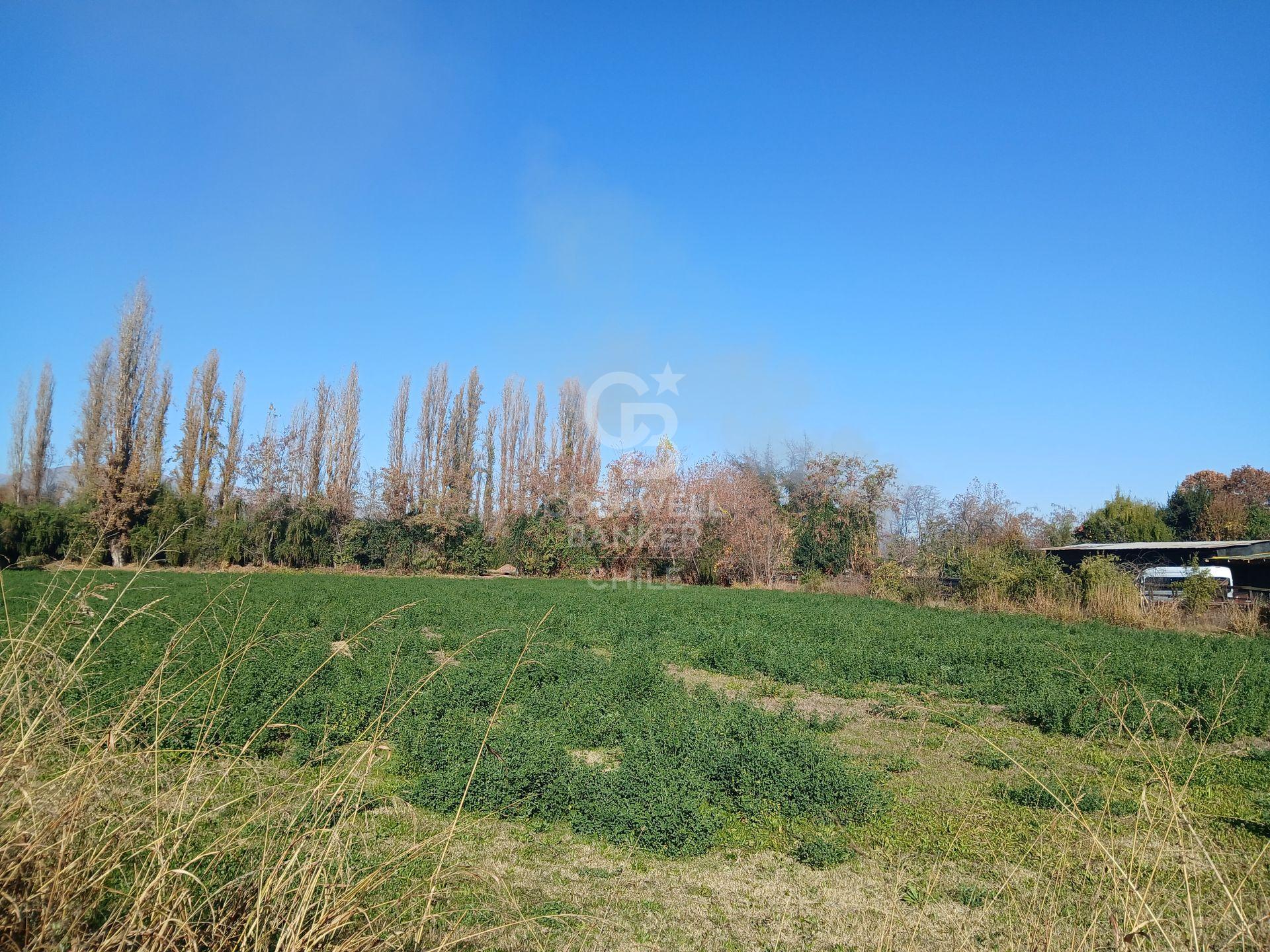 San Esteban, Chile, ,Land,For Sale,1926022