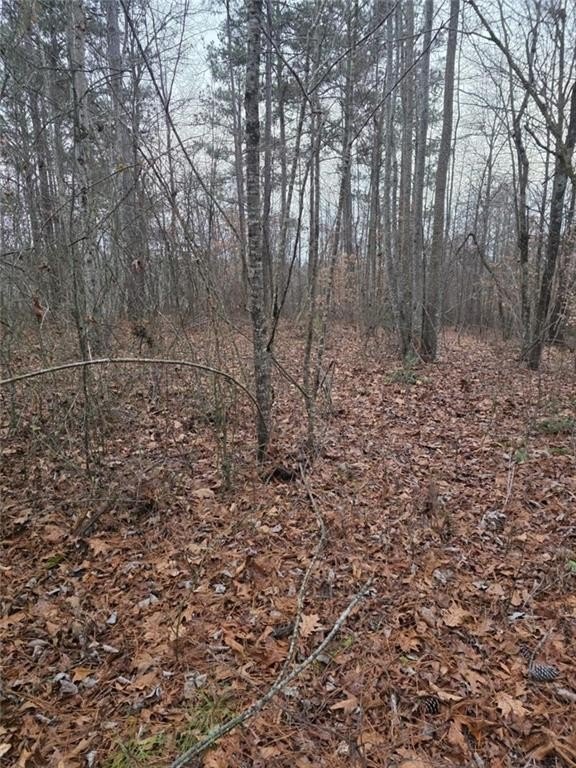 Talking Rock, Georgia, 30175, United States, 1 Bedroom Bedrooms, ,1 BathroomBathrooms,Residential,For Sale,2005739