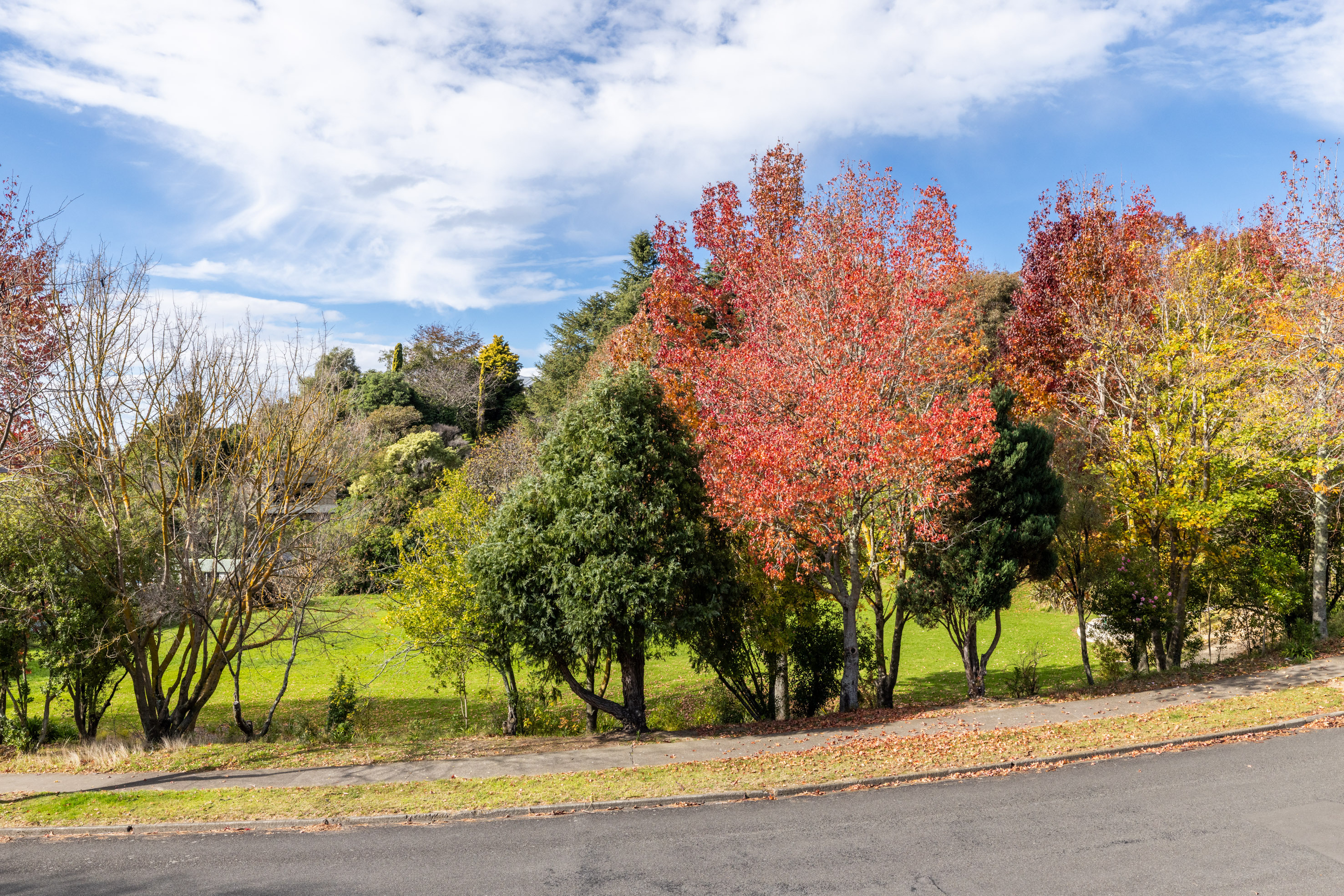  Taradale Executive Living with Apartment - 物件實景
