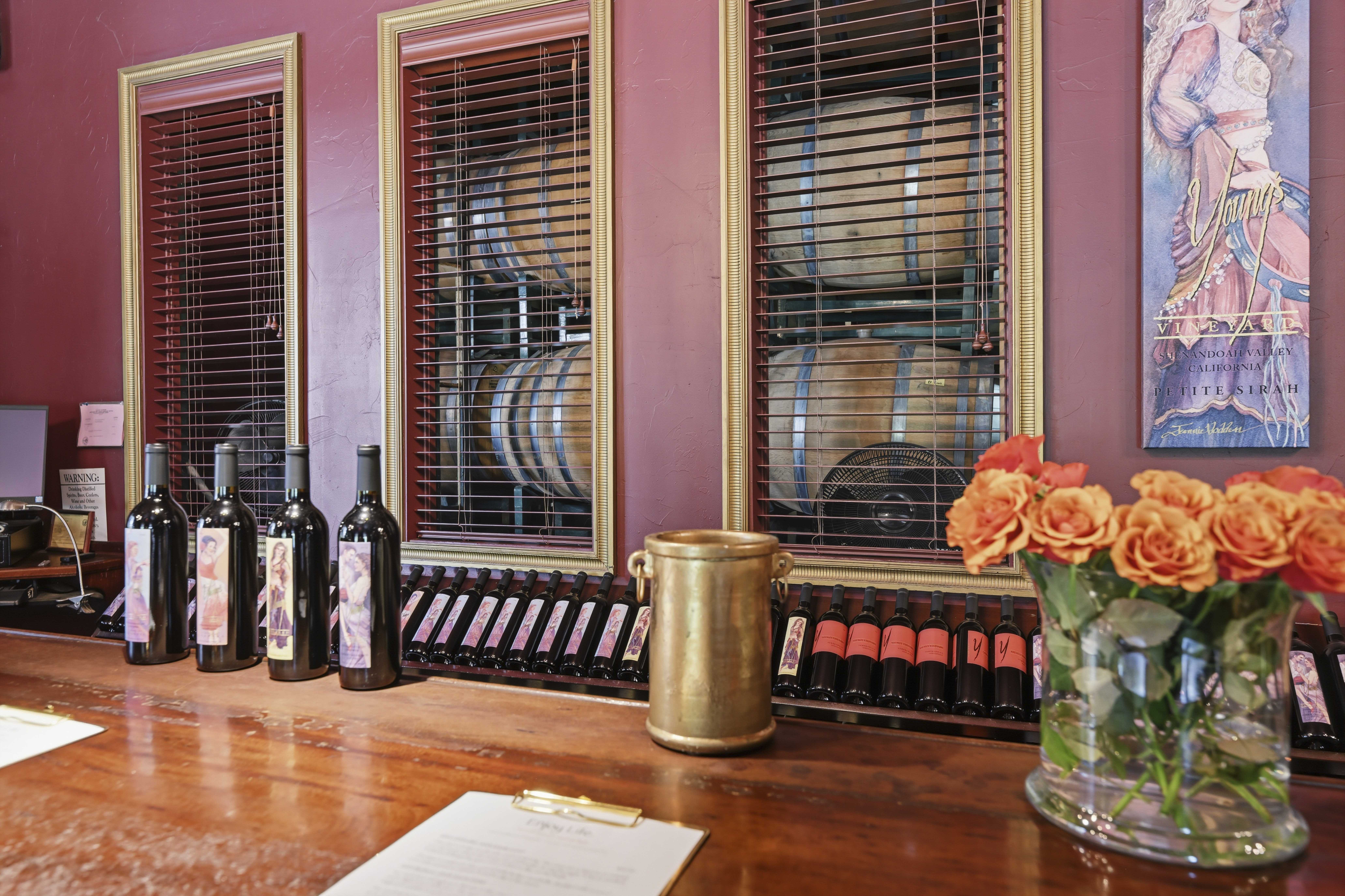  10120 Shenandoah Road, Plymouth, CA 95669 - 物件實景