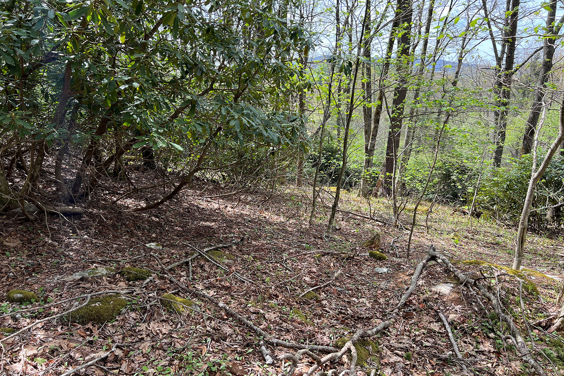  PARKWAY CROSSING - BLOWING ROCK - 物件實景