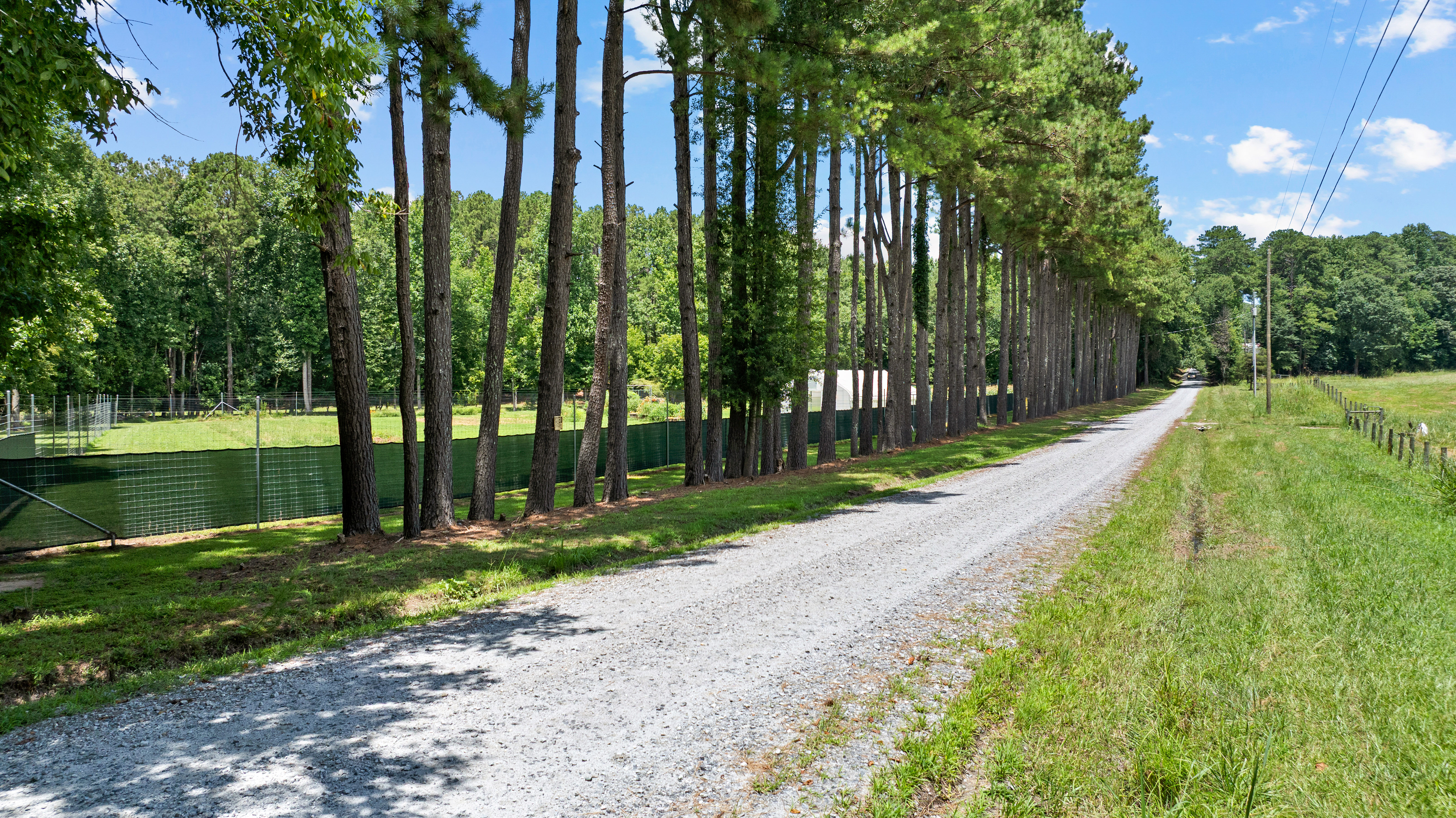  52 +/- Acres of Working Land and Quiet Woods - 物件實景