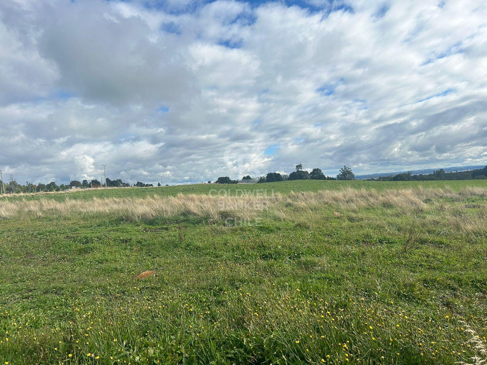 Puerto Varas, Chile, ,Residential,For Sale,2003315