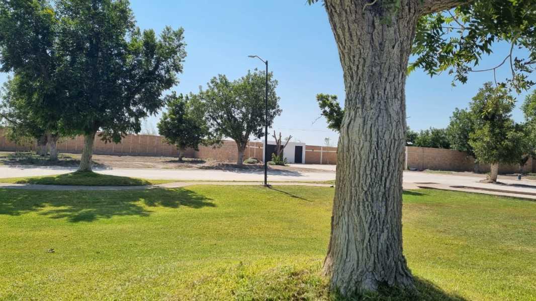 LA LOMA, Torreón, Coahuila de Zaragoza, 27405, Mexico, 1 Bedroom Bedrooms, ,Residential,For Sale,LA LOMA,1610921