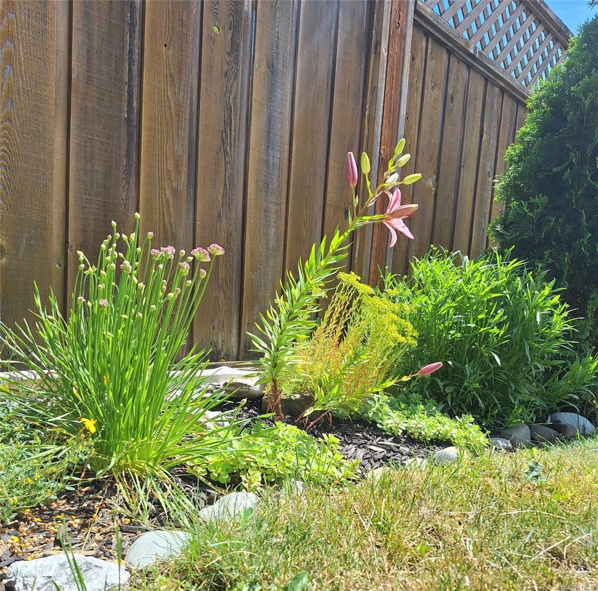 DUNCAN, British Columbia, V9L 0E1, CA, 4 Bedrooms Bedrooms, ,Residential,For Sale,1950209