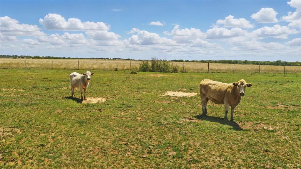 Gorman, Texas, 76454, United States, 3 Bedrooms Bedrooms, ,3 BathroomsBathrooms,Residential,For Sale,1765843