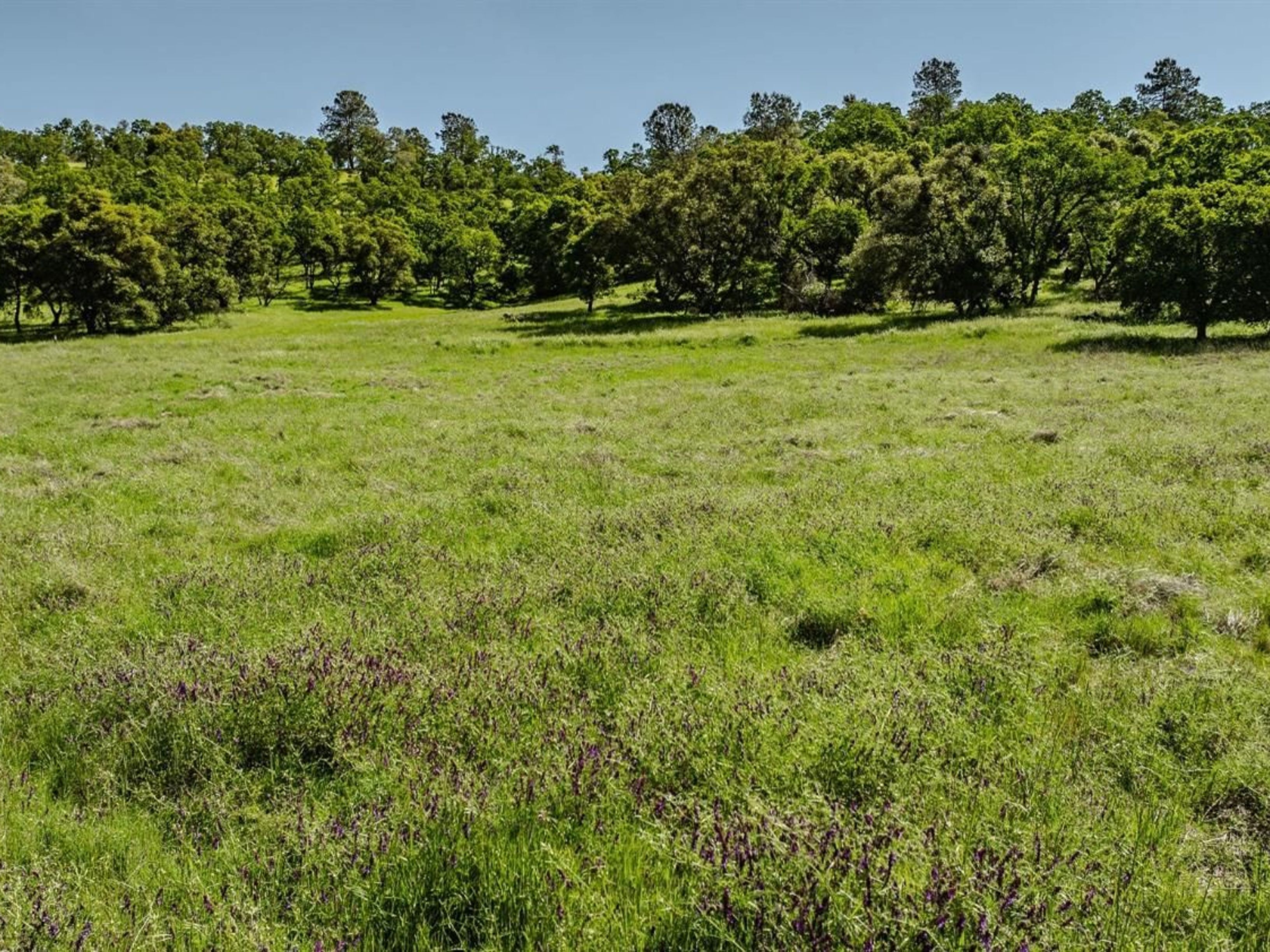 10865 Sunset Drive, Sutter Creek, CA 95685 - 物件實景