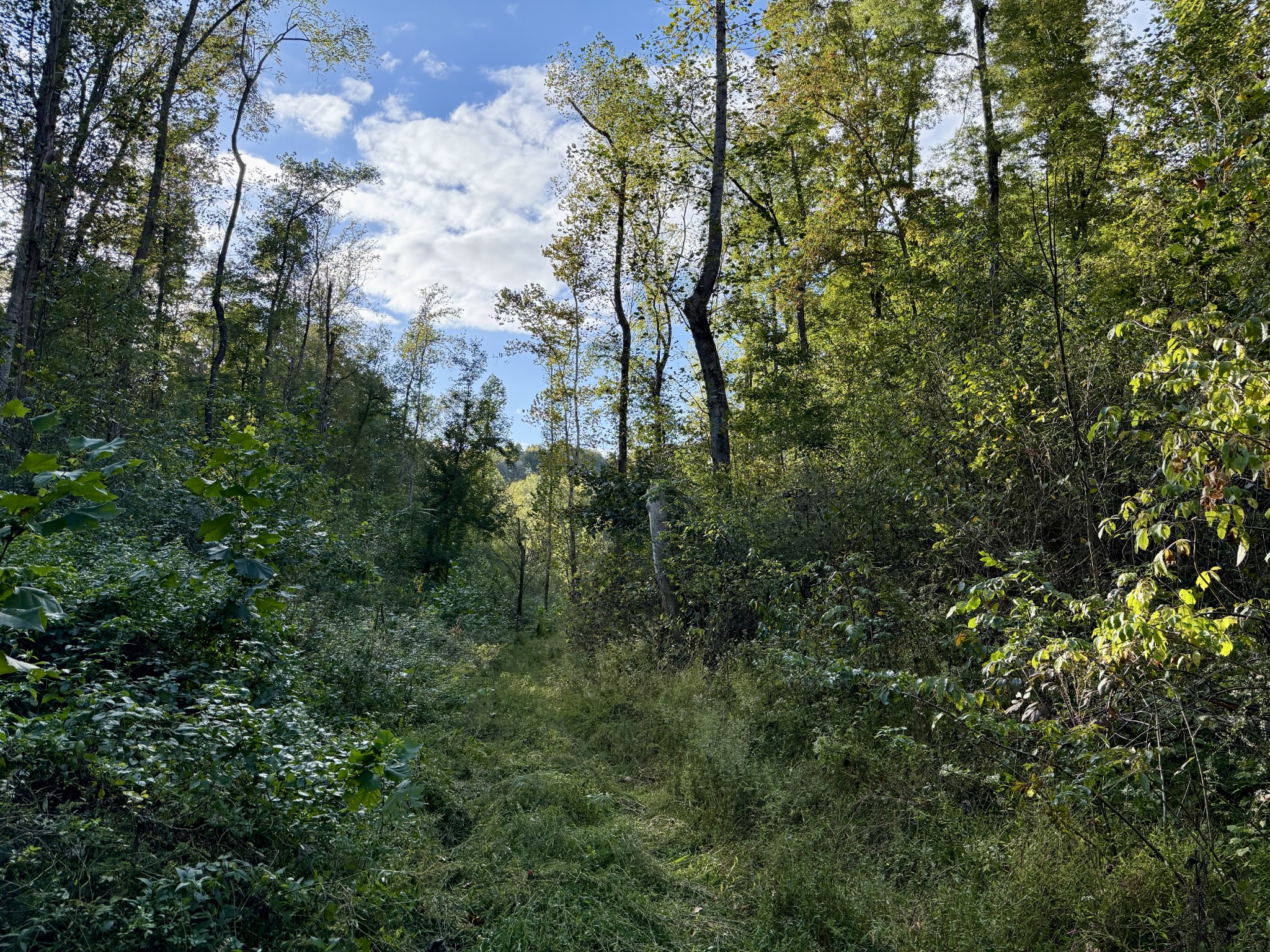 Lynchburg, Tennessee, 37388, United States, ,Land,For Sale,1982223