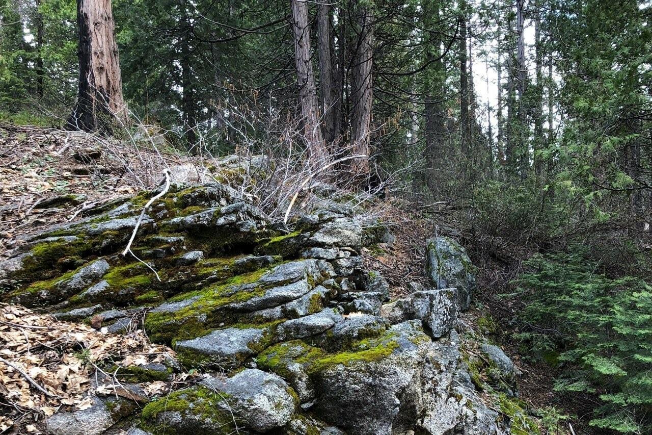 Yosemite, California, 95389, United States, ,Residential,For Sale,1791701