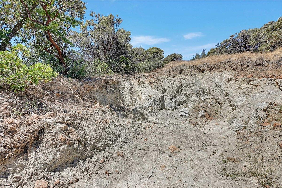 Oregon House, California, 95962, United States, ,Land,For Sale,1975767