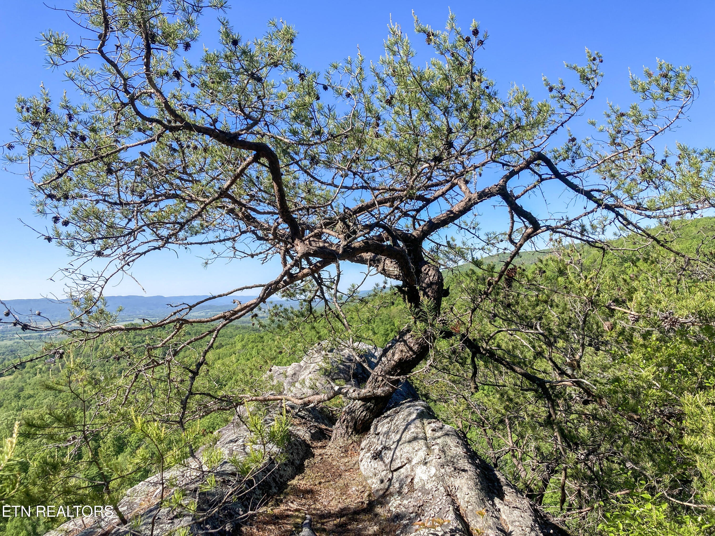 Pikeville, Tennessee, 37367, United States, 3 Bedrooms Bedrooms, ,2 BathroomsBathrooms,Residential,For Sale,1974789