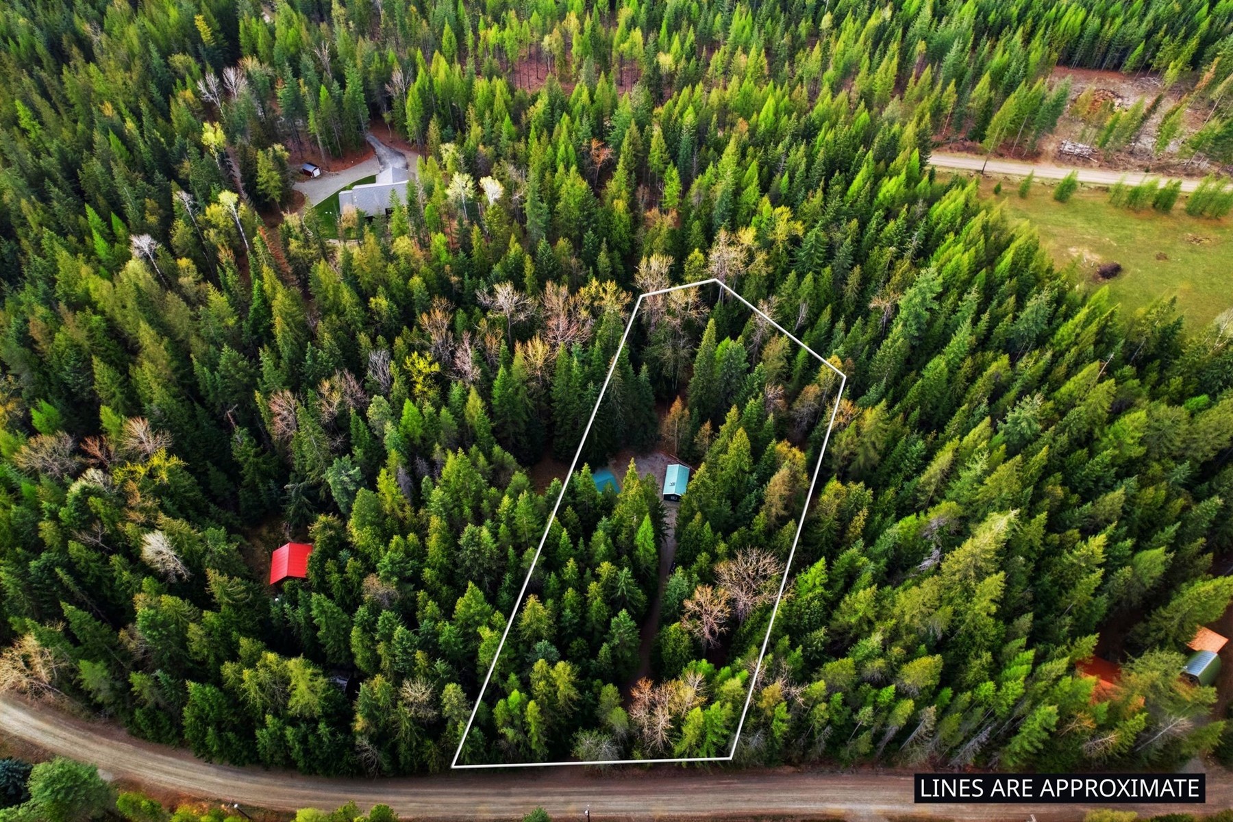  354 Fall Creek Road - 物件實景