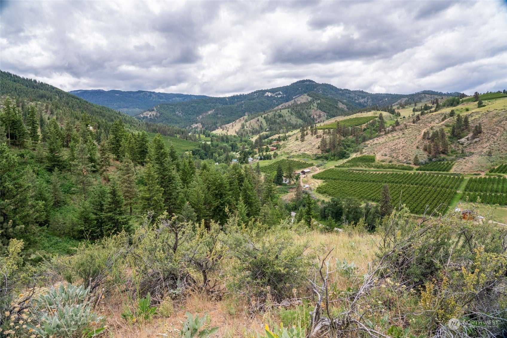 Wenatchee, Washington, 98801, United States, ,Land,For Sale,1690373