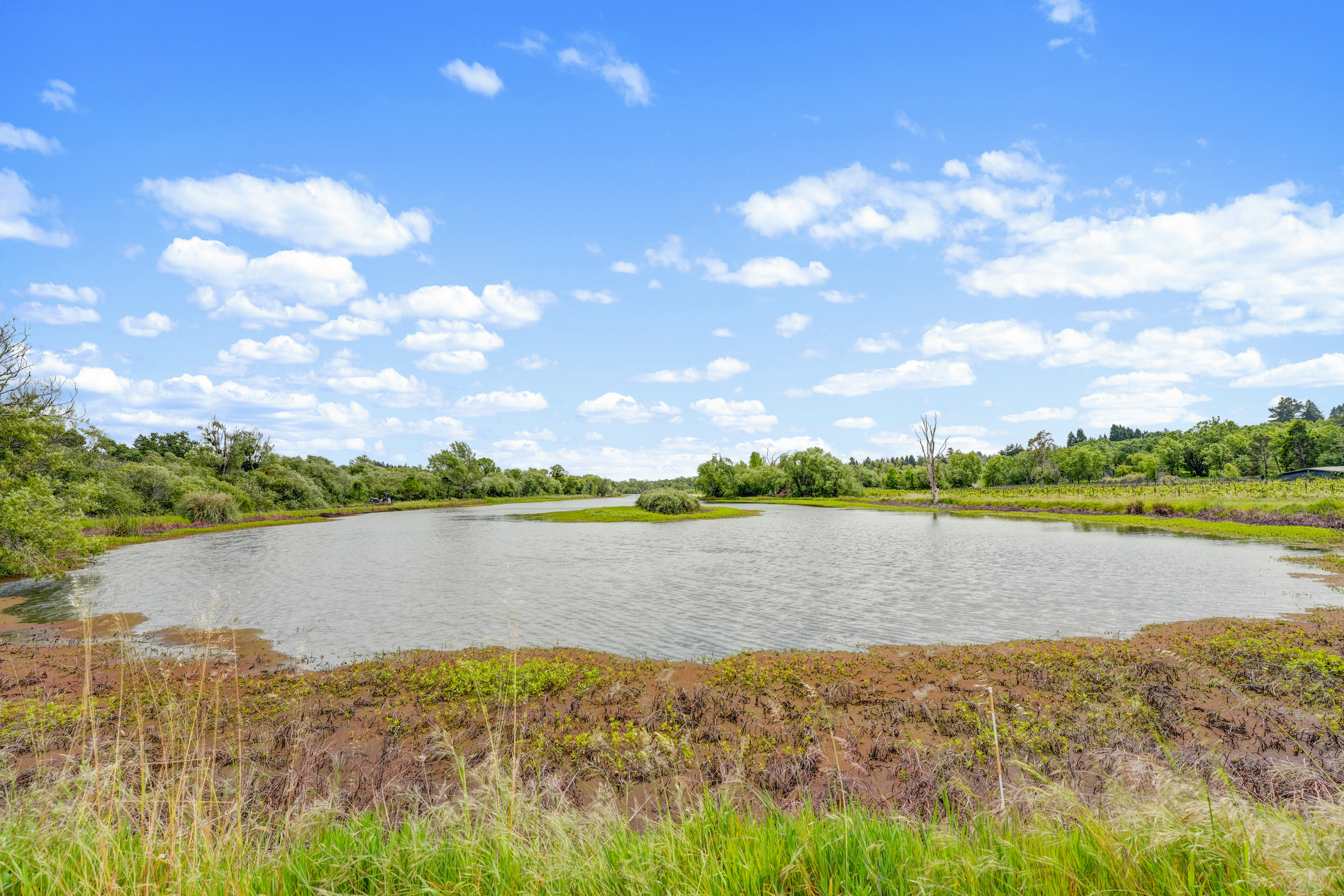  9700 Mill Station Road, Sebastopol, CA 95472 - 物件實景