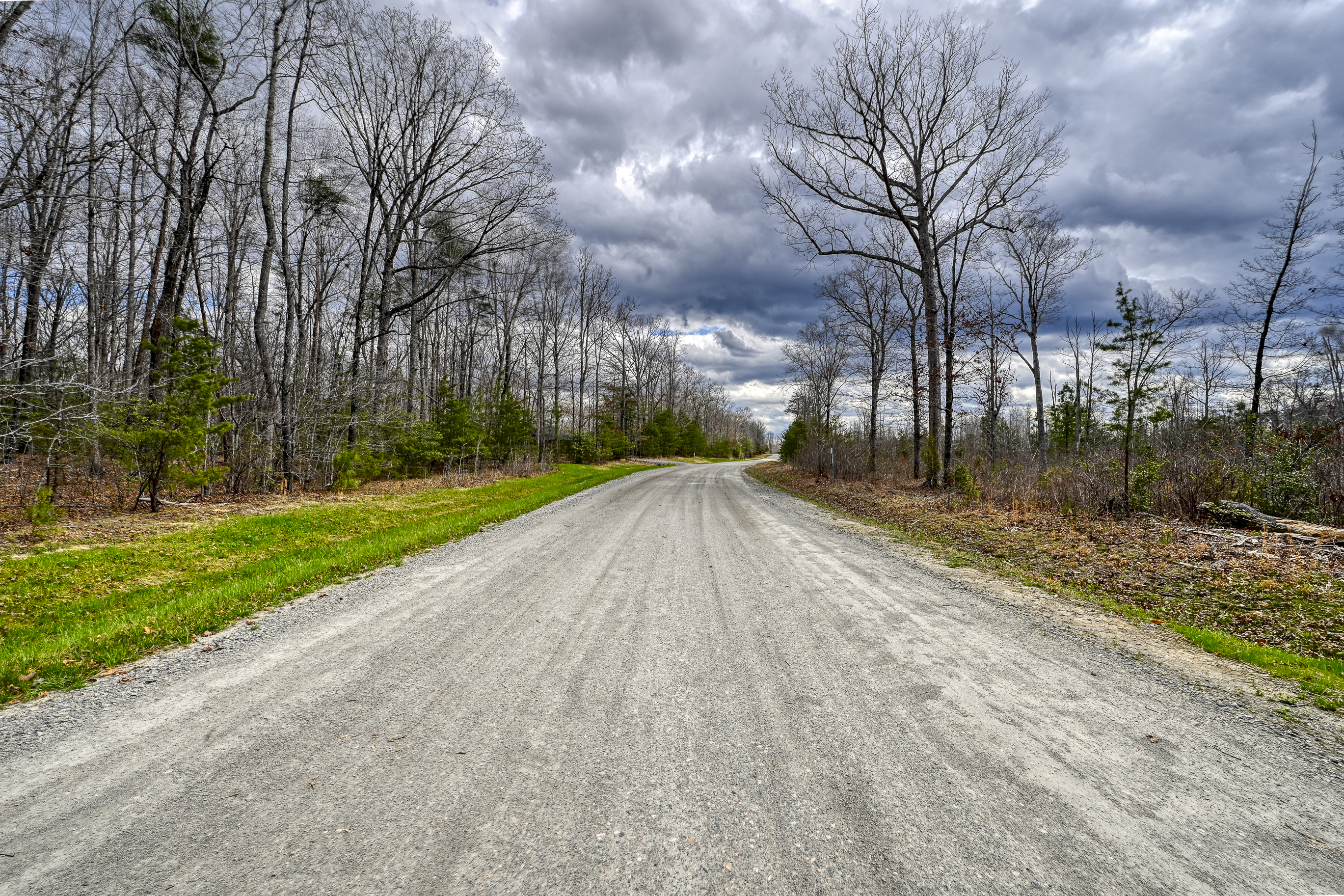  295 Equestrian Landing Trail, Bumpass, VA 23024 - 物件實景