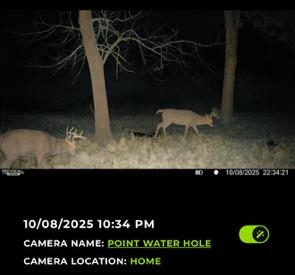 Muscoda, Wisconsin, 53573, United States, 3 Bedrooms Bedrooms, ,3 BathroomsBathrooms,Residential,For Sale,1990387