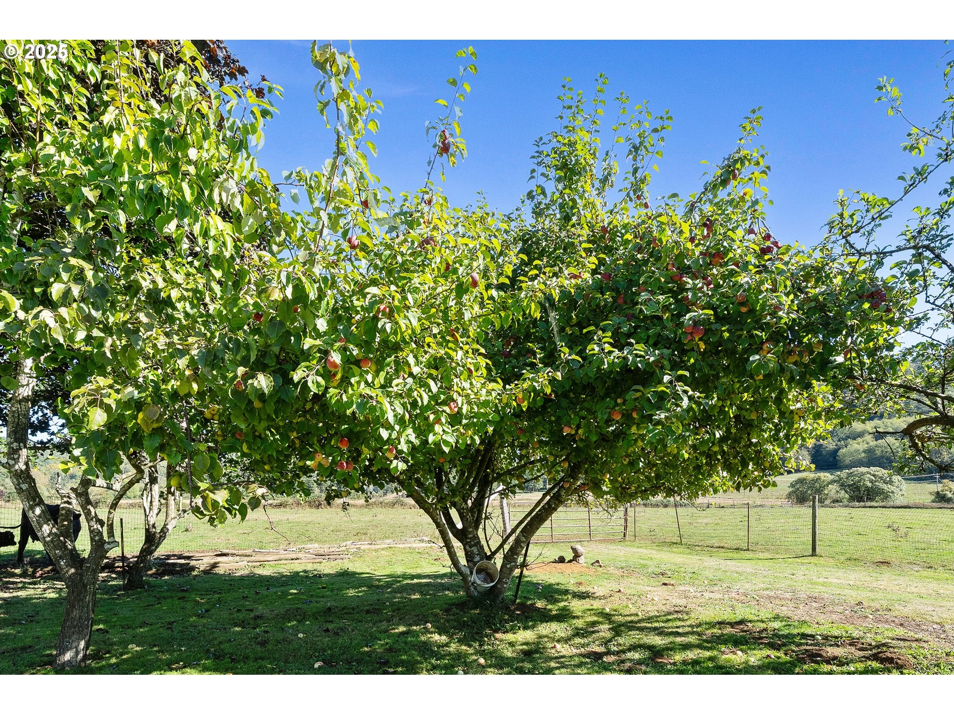 Beaver, Oregon, 97108, United States, 4 Bedrooms Bedrooms, ,2 BathroomsBathrooms,Residential,For Sale,1991728