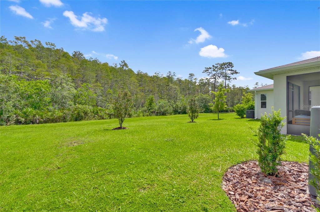 St Cloud, Florida, 34772, United States, 5 Bedrooms Bedrooms, ,3 BathroomsBathrooms,Residential,For Sale,1970821