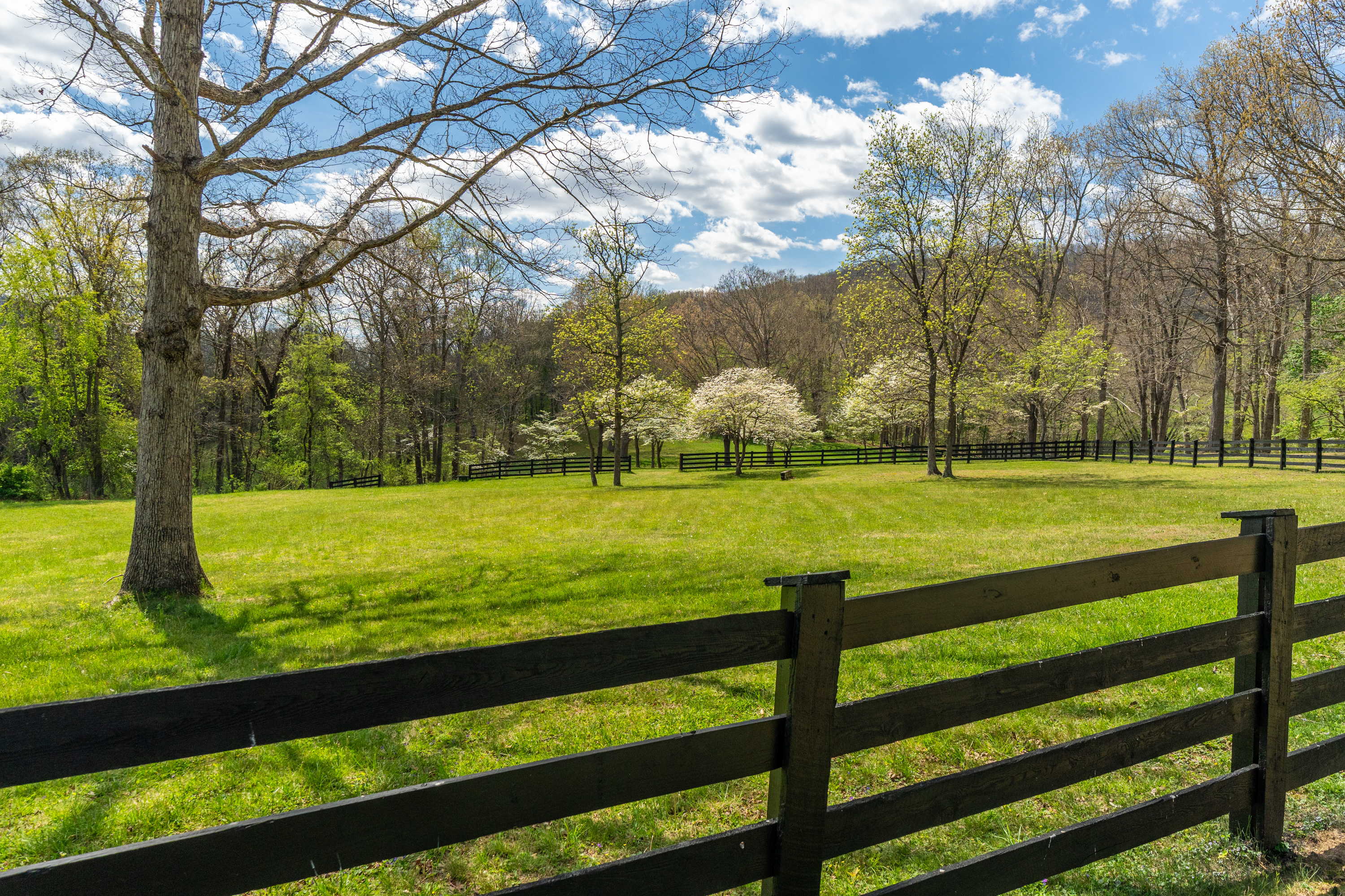  5614 Hot Springs Rd - 物件實景