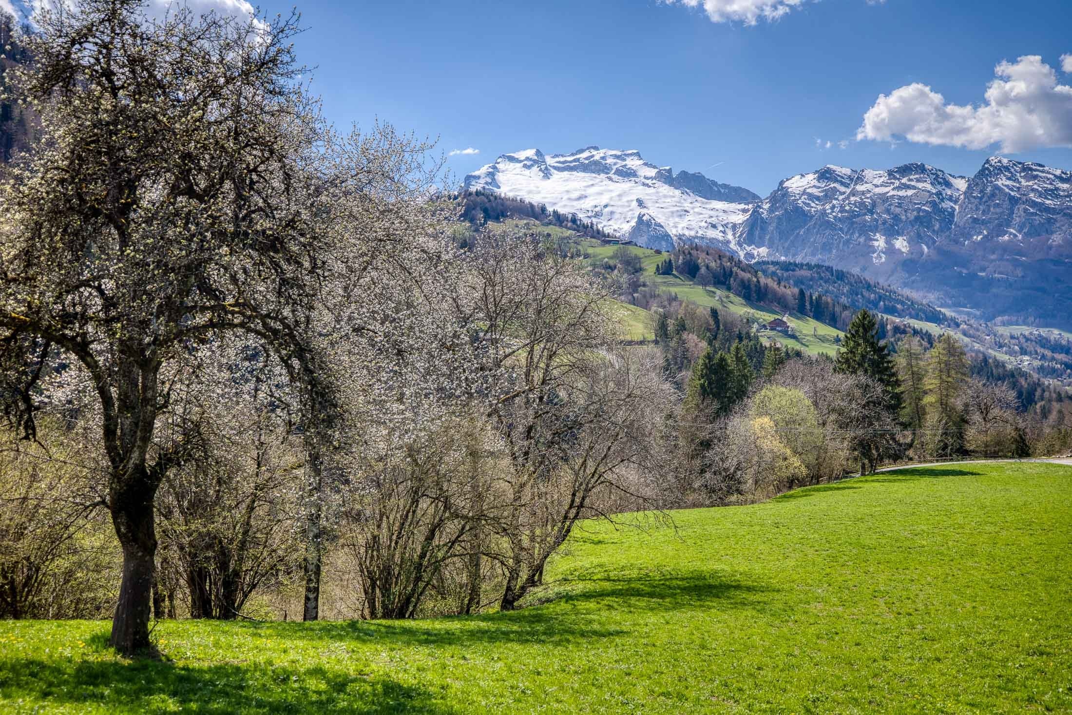  Flat with magnificent views of La Tournette - 物件實景