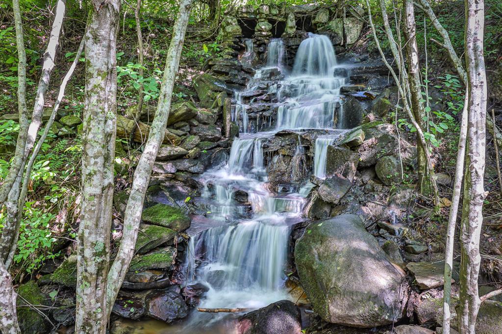 Cherry Log, Georgia, 30522, United States, ,Land,For Sale,1858995