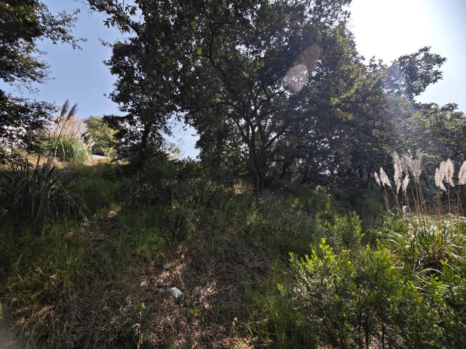 Capulines, Atizapán de Zaragoza, Estado de México, 52938, Mexico, 1 Bedroom Bedrooms, ,Residential,For Sale,Capulines,1443866