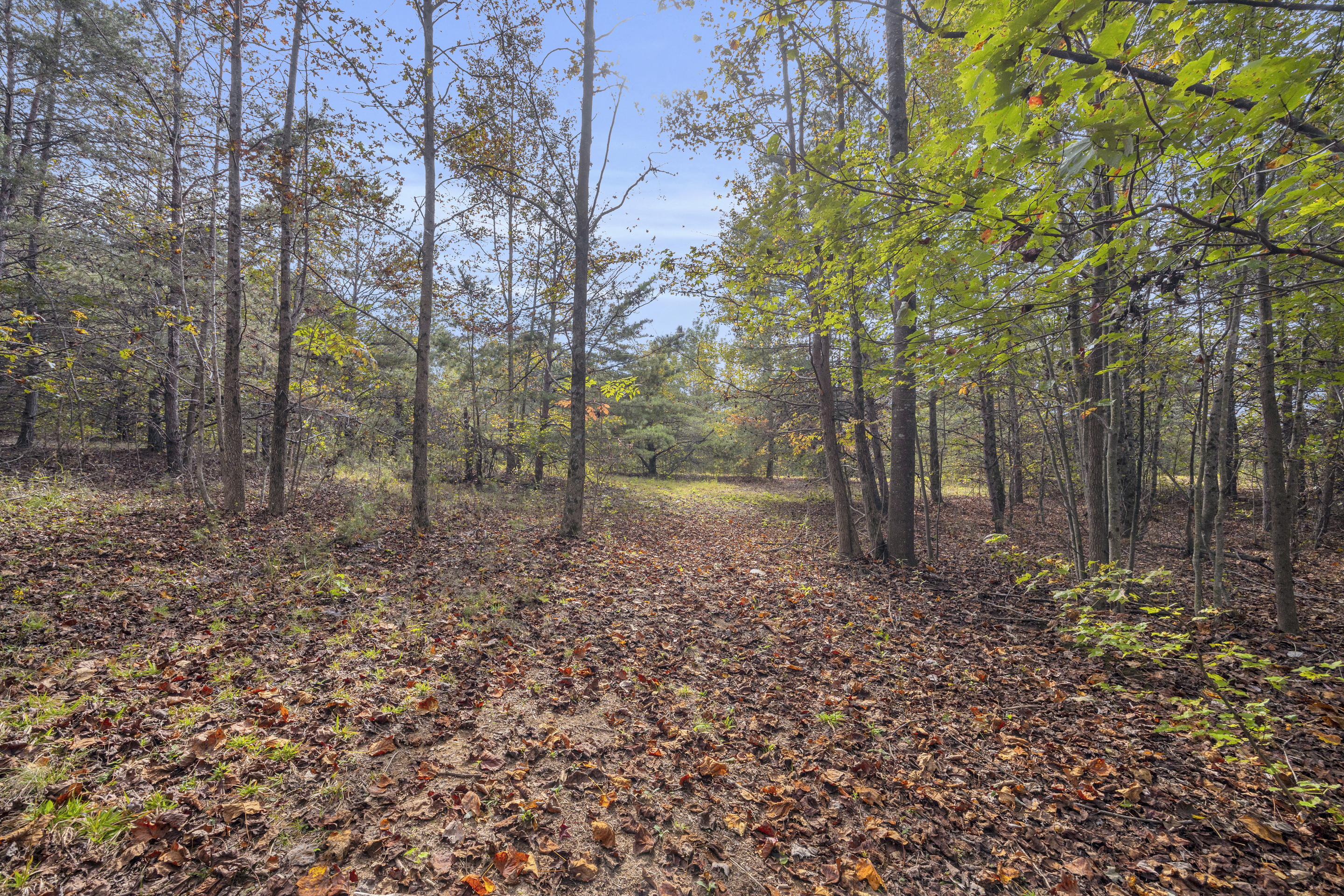 Cleveland, Georgia, 30528, United States, 3 Bedrooms Bedrooms, ,2 BathroomsBathrooms,Residential,For Sale,1979350