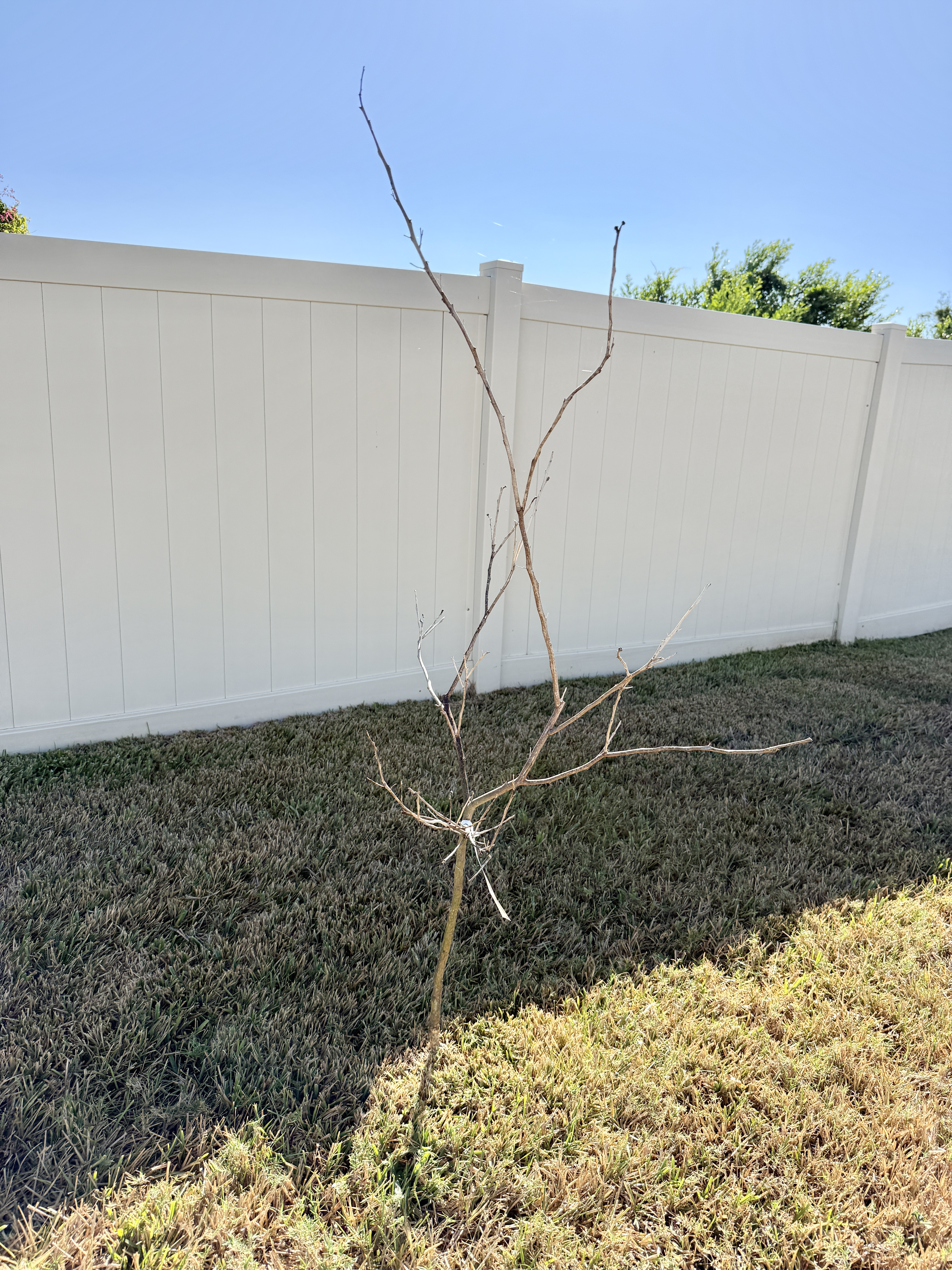 Seffner, Florida, 33584, United States, 4 Bedrooms Bedrooms, ,3 BathroomsBathrooms,Residential,For Sale,1979664