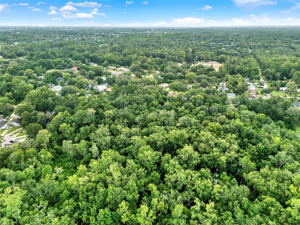 Apopka, Florida, 32712, United States, ,Land,For Sale,1891434