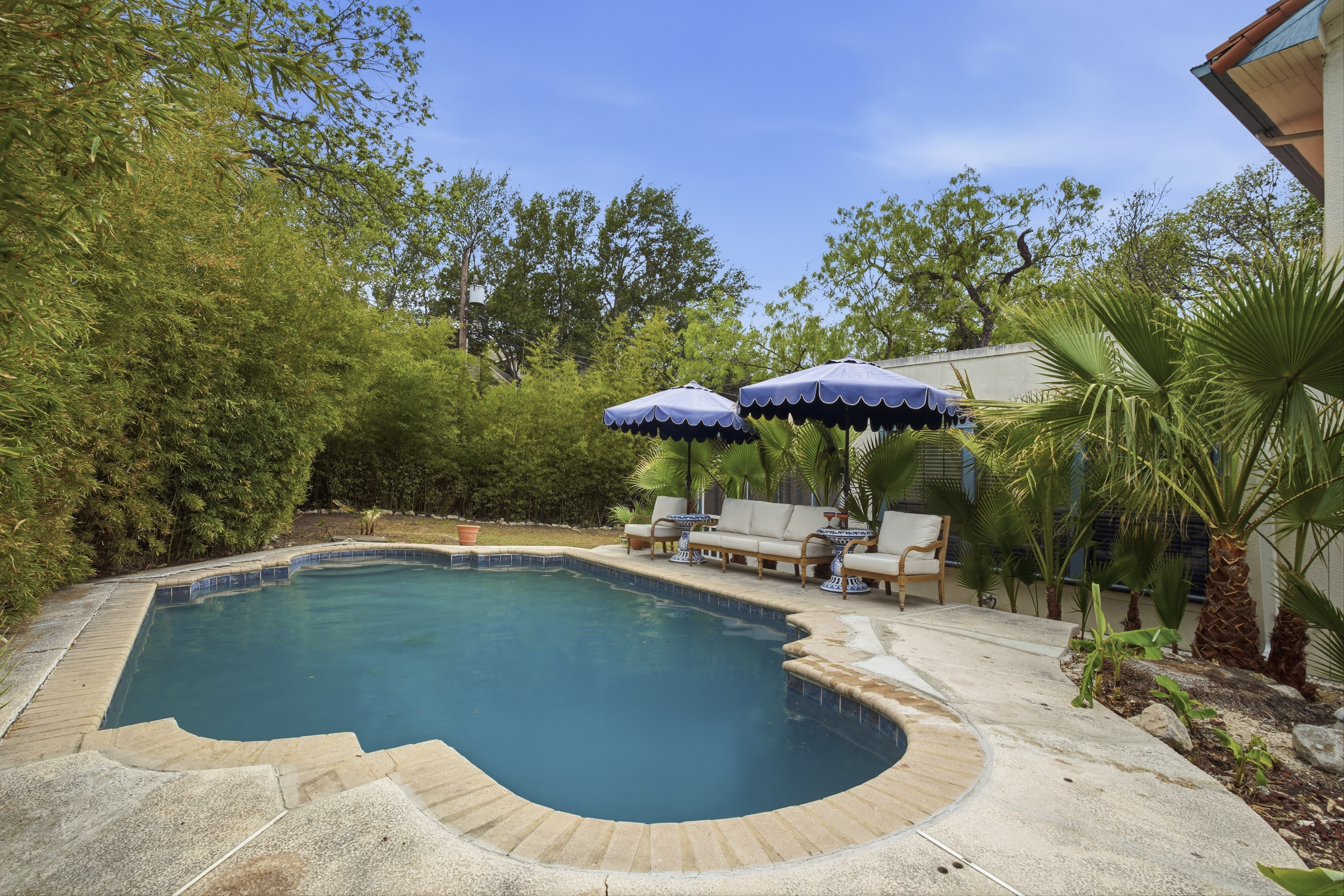  Timeless Alamo Heights Spanish Colonial - 物件實景