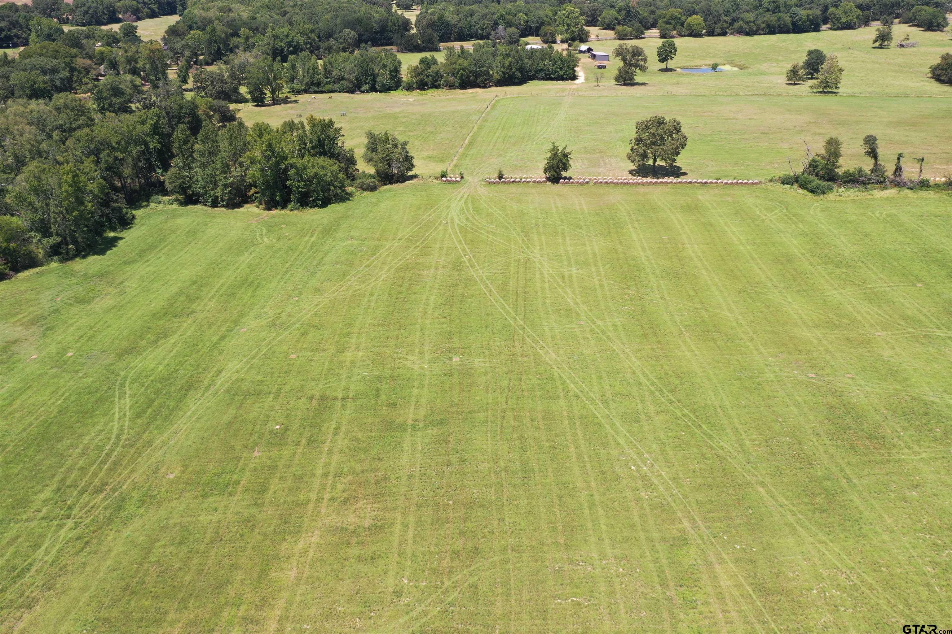 Pittsburg, Texas, 75686, United States, ,Land,For Sale,1978777