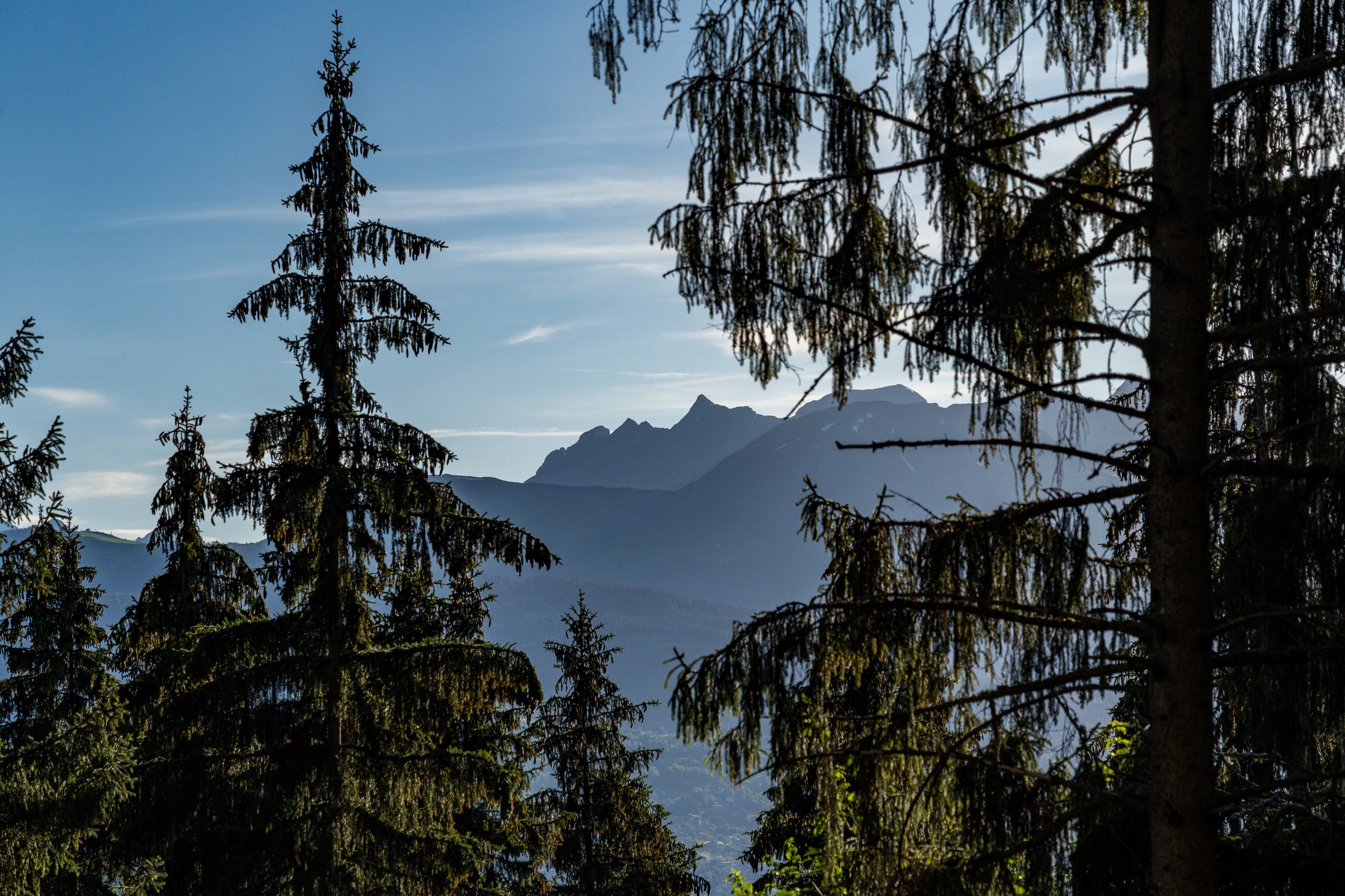  EXCLUSIVITY - CHALET DIANE - 物件實景