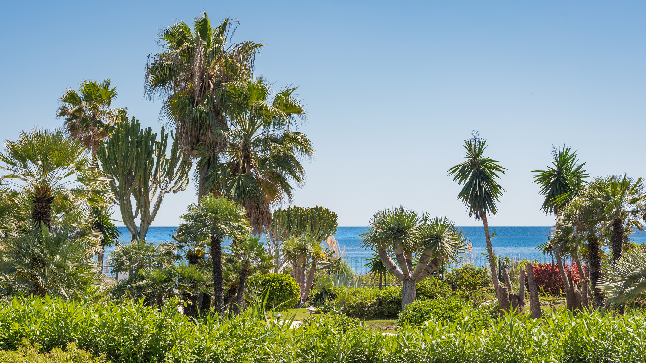  Beachfront contemporary apartment in Costalita, Estepona - 物件實景