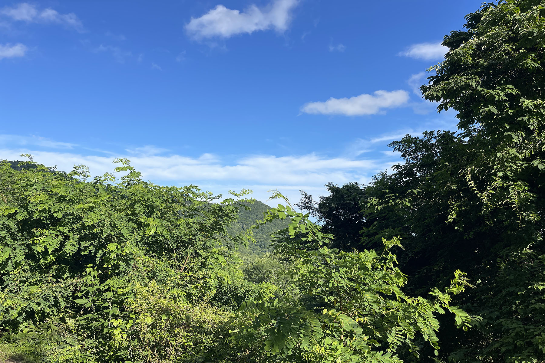  SCENIC ACRES - BLOWING ROCK - 物件實景