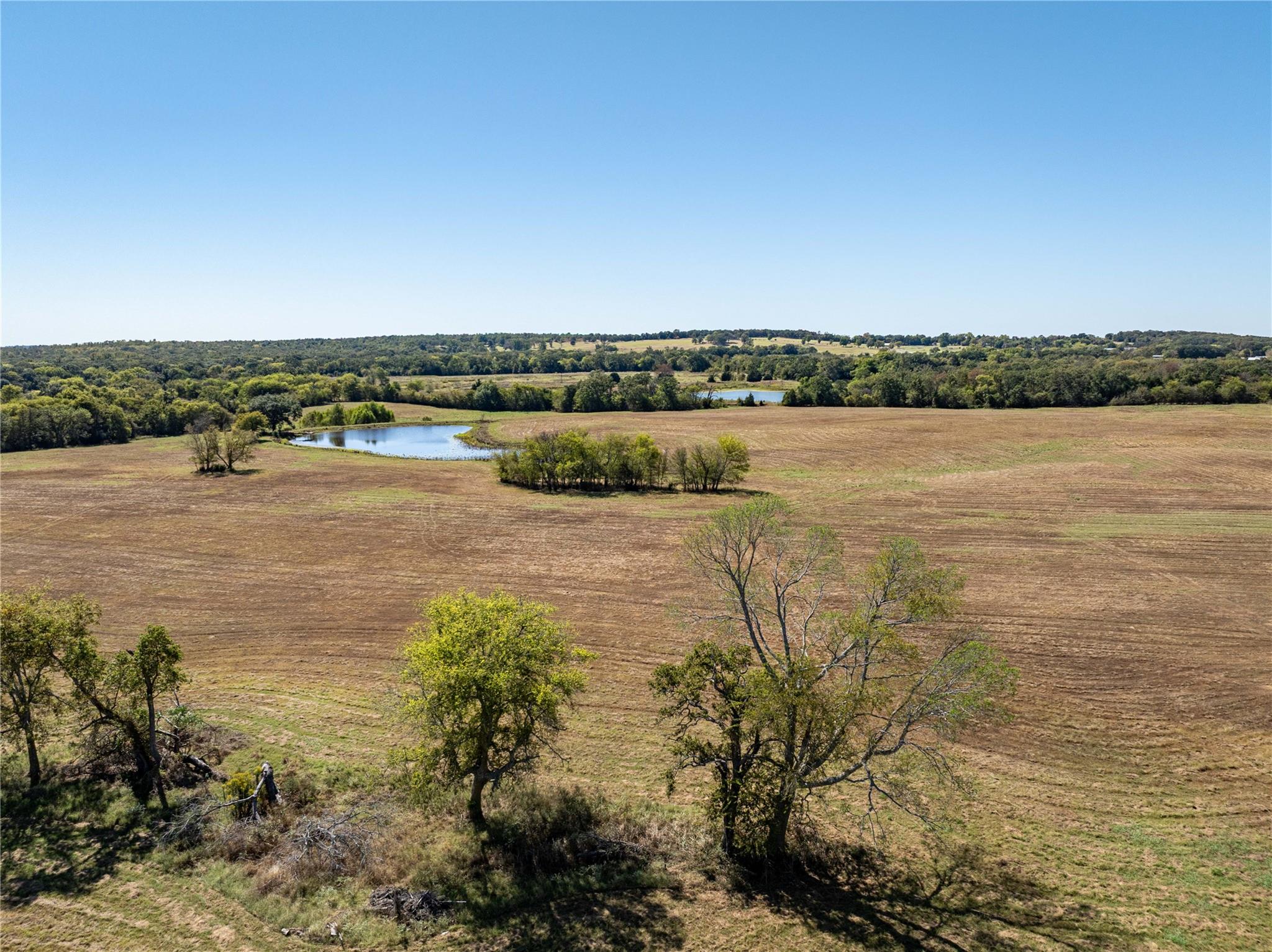 Canton, Texas, 75103, United States, 5 Bedrooms Bedrooms, ,3 BathroomsBathrooms,Residential,For Sale,1976221