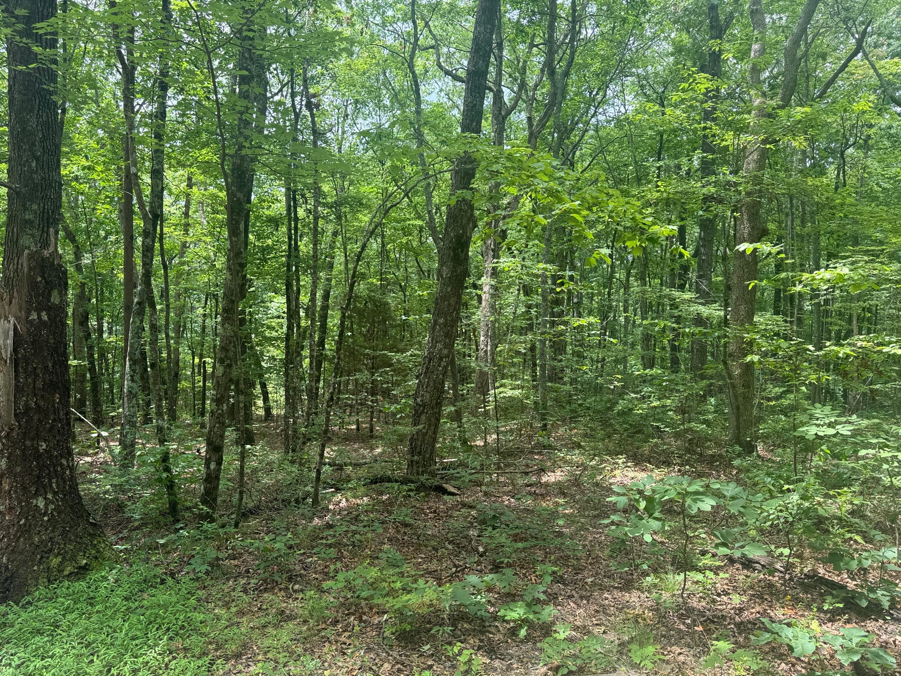 Dunlap, Tennessee, 37327, United States, ,Land,For Sale,1877286