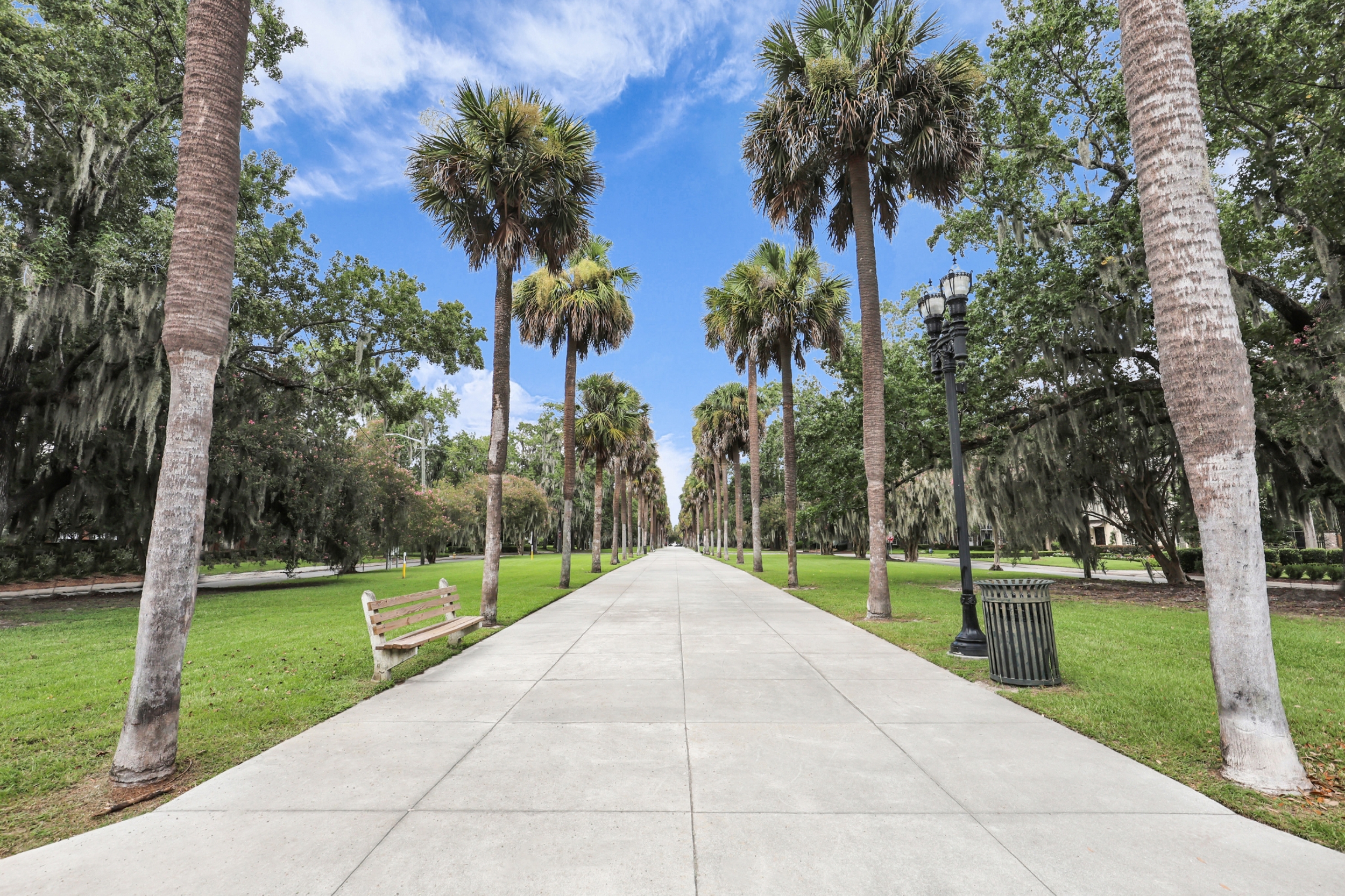  Prestigious Home in Ardsley Park Featured in Southern Living Magazine - 物件實景