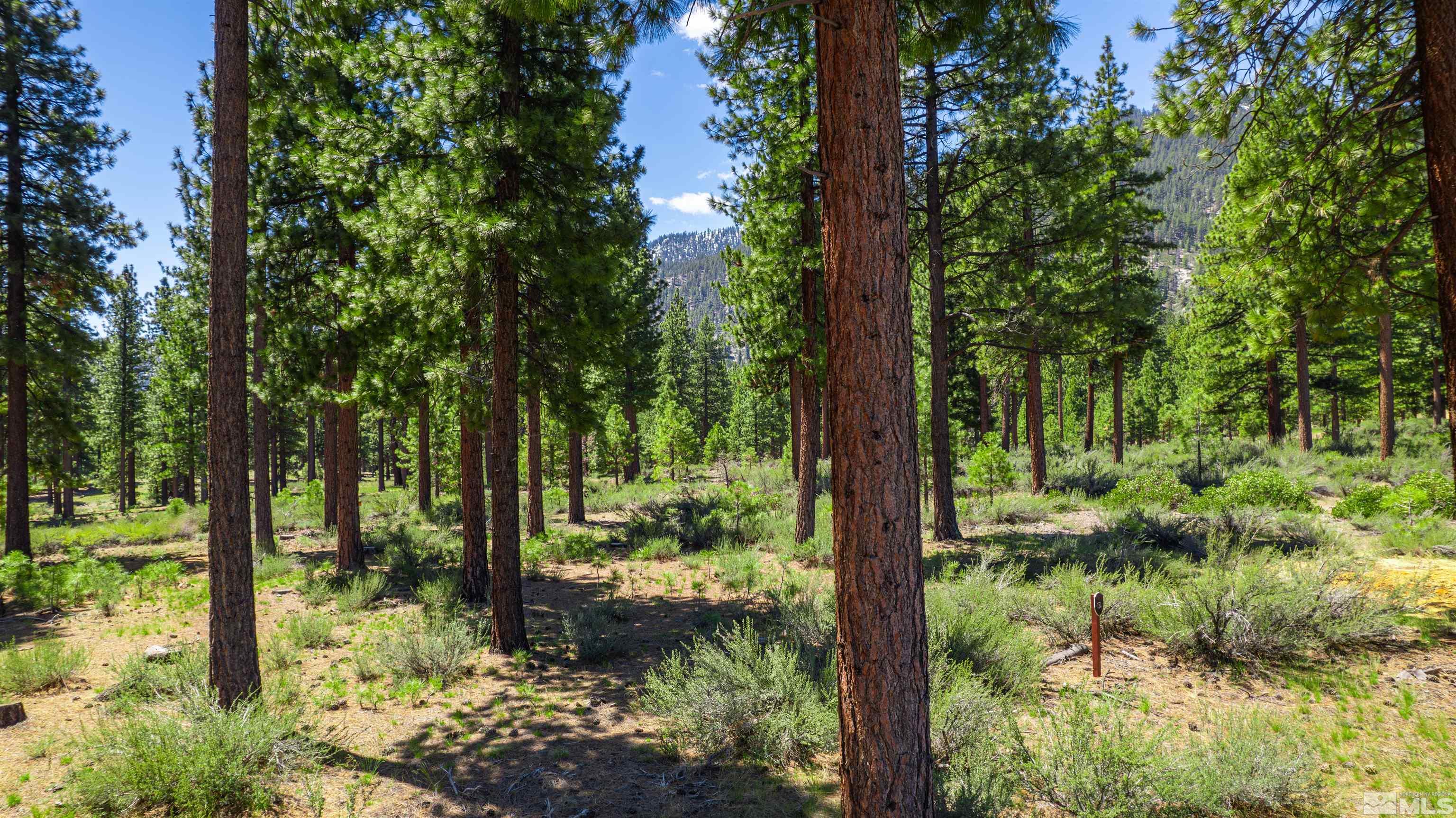 Carson City, Nevada, 89705, United States, ,Land,For Sale,1826407